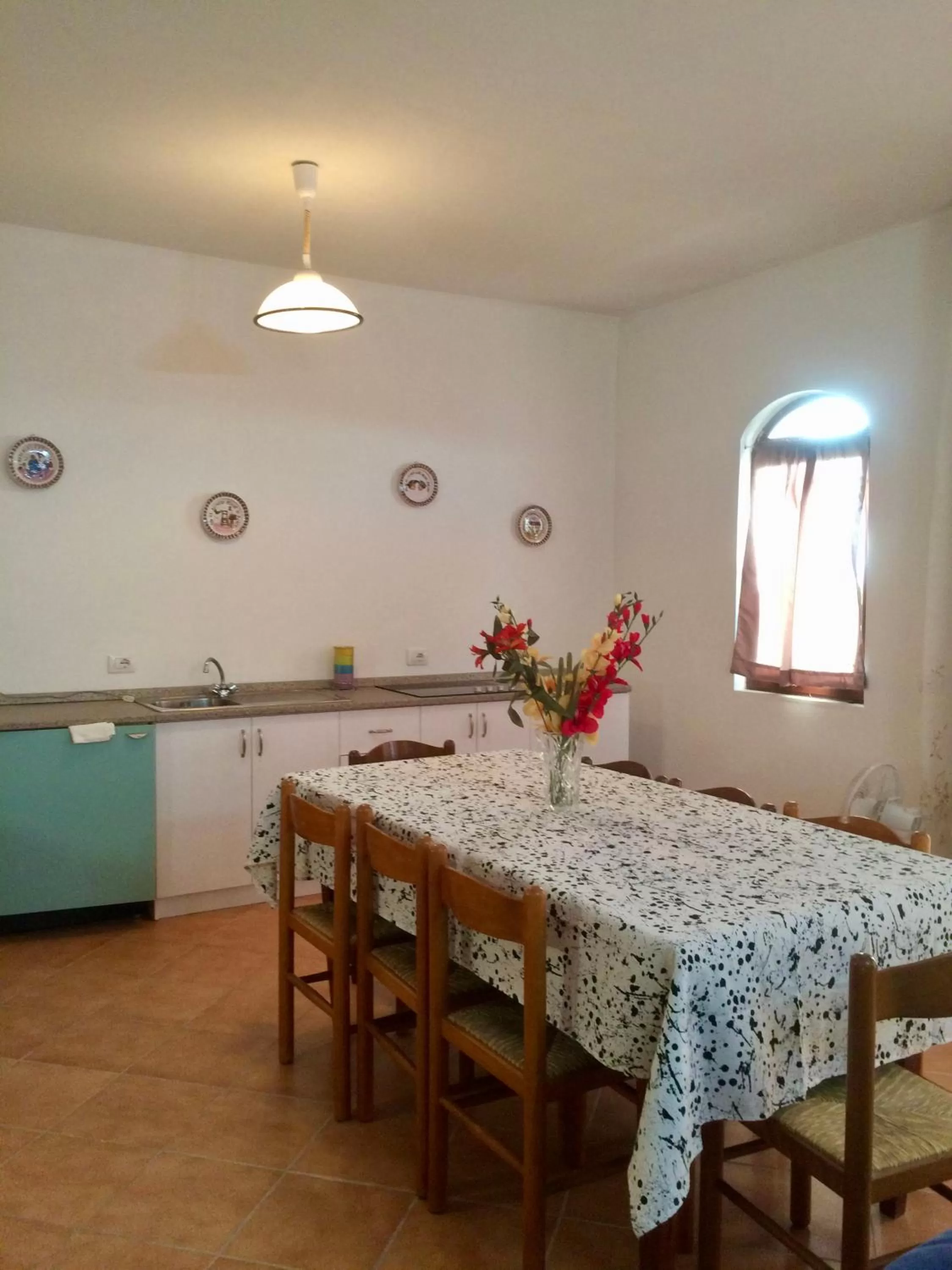 Kitchen or kitchenette, Dining Area in Guesthouse Villa Rosa Berat