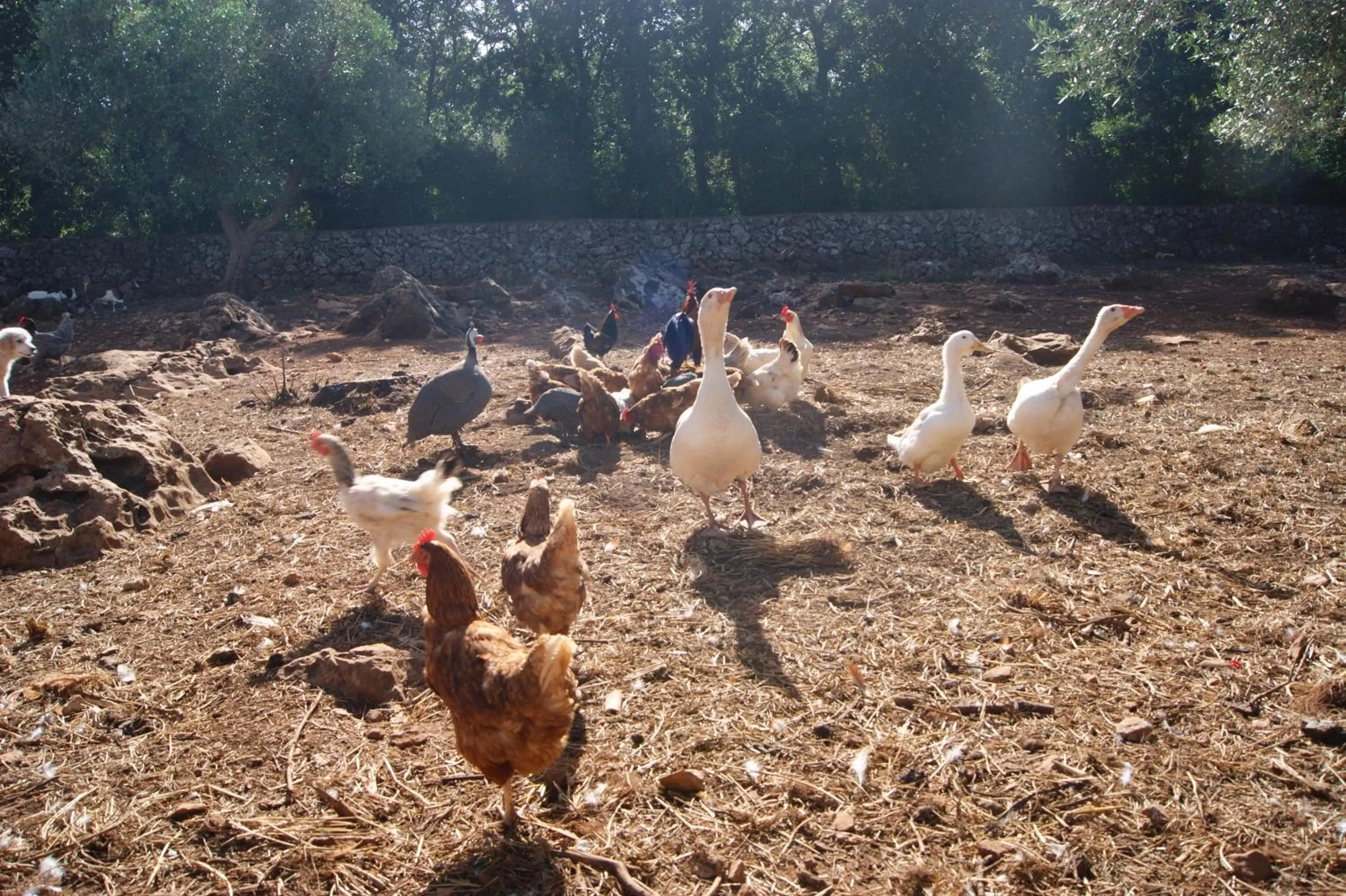 View (from property/room) in Arome B&B