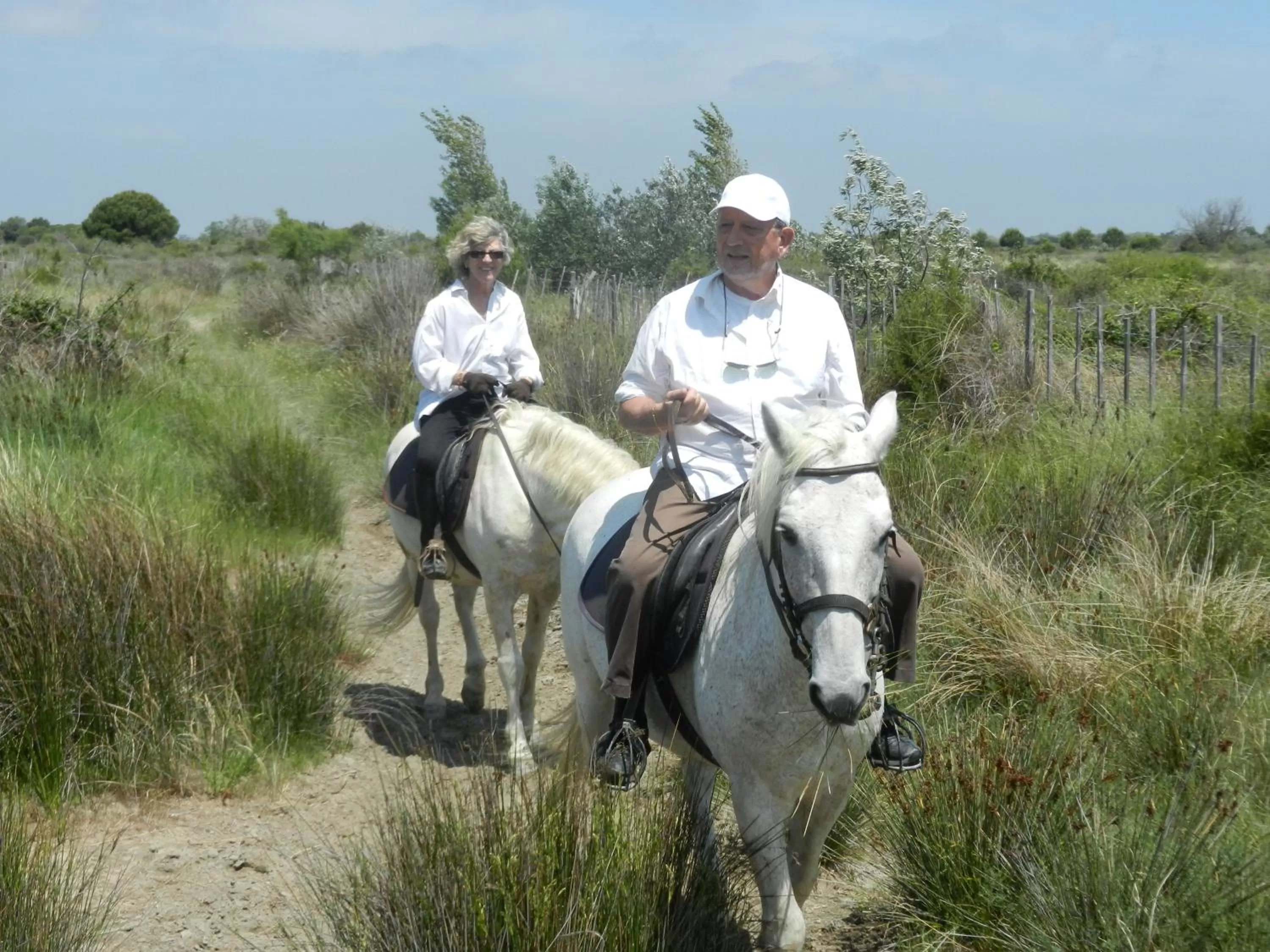 Horse-riding in Mas de la Grenouillère Hôtel et Centre équestre en pleine nature