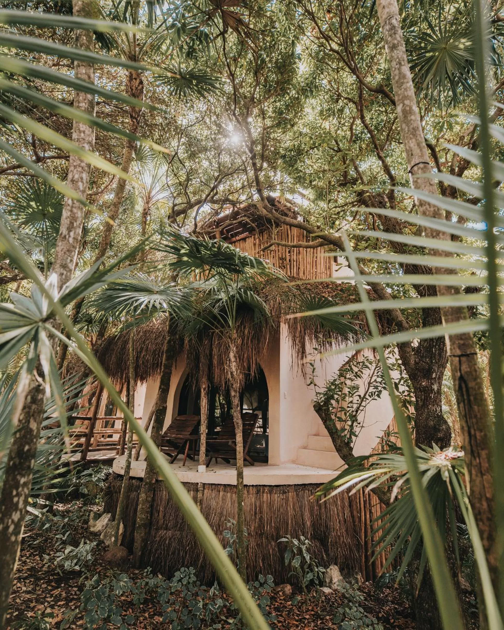 Garden in Papaya Playa Project, Tulum, a Member of Design Hotels