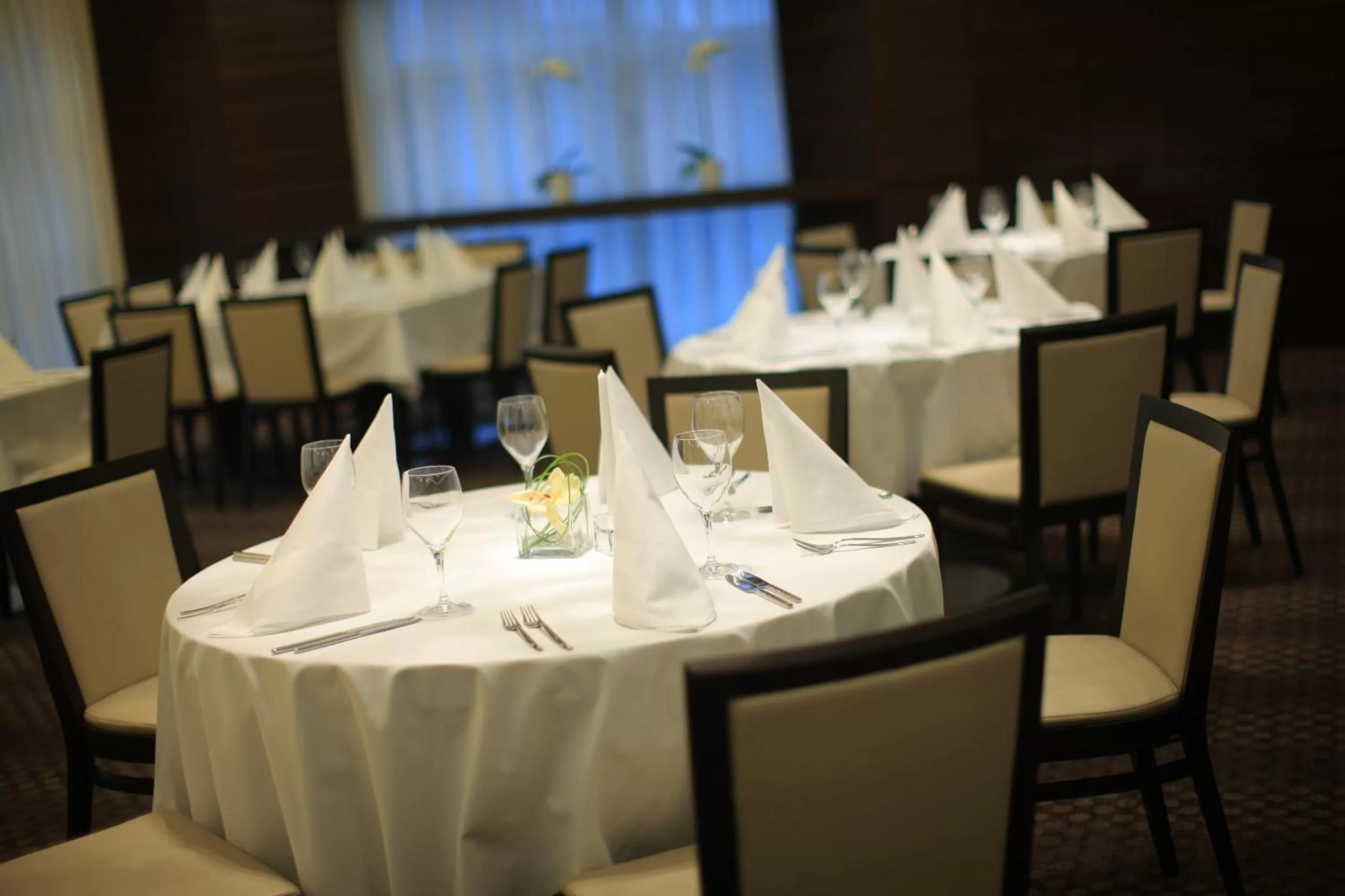 Dining area in Hotel Aristos