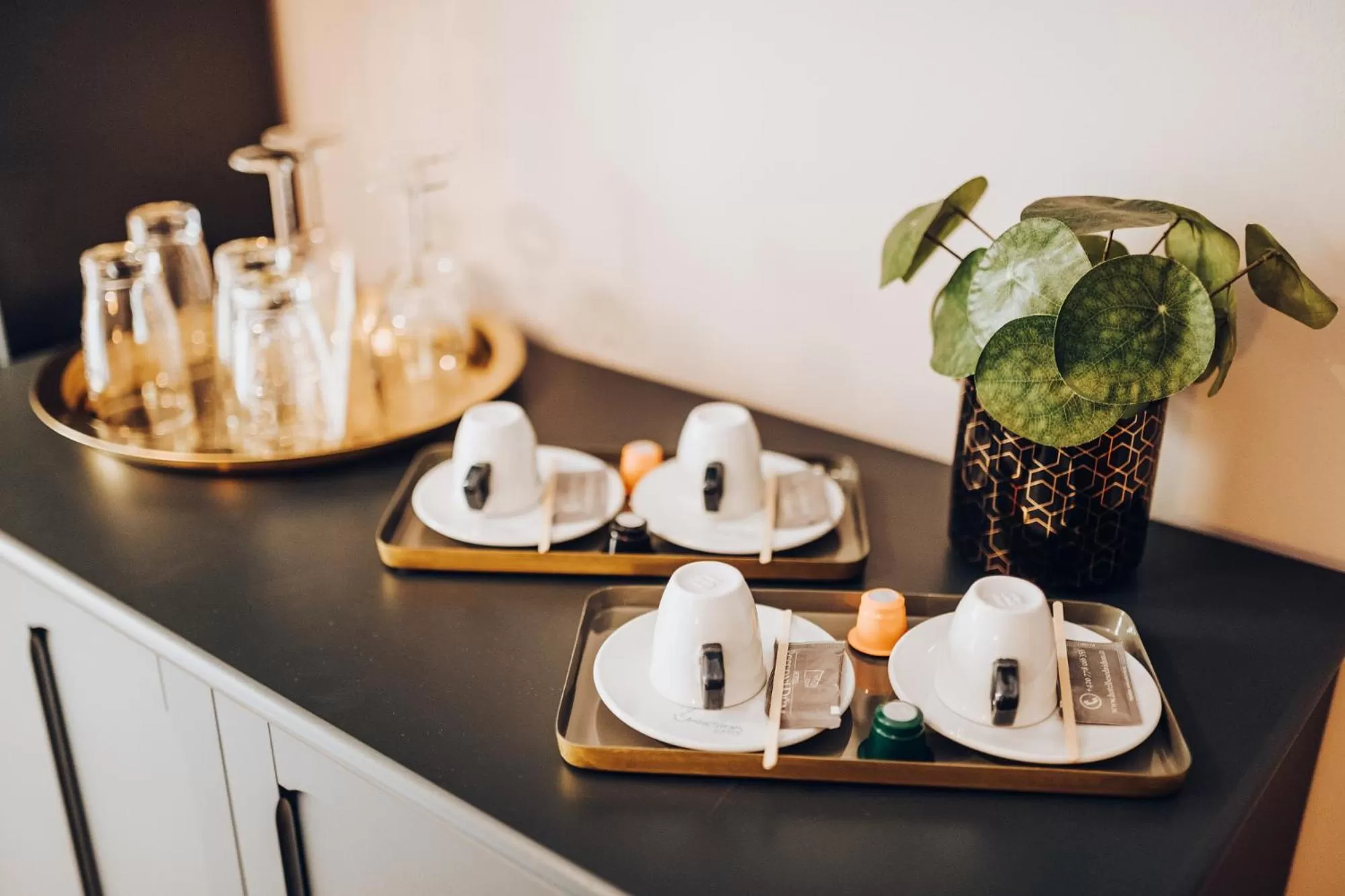 Area and facilities in Wine & Wellness hotel Besední dům