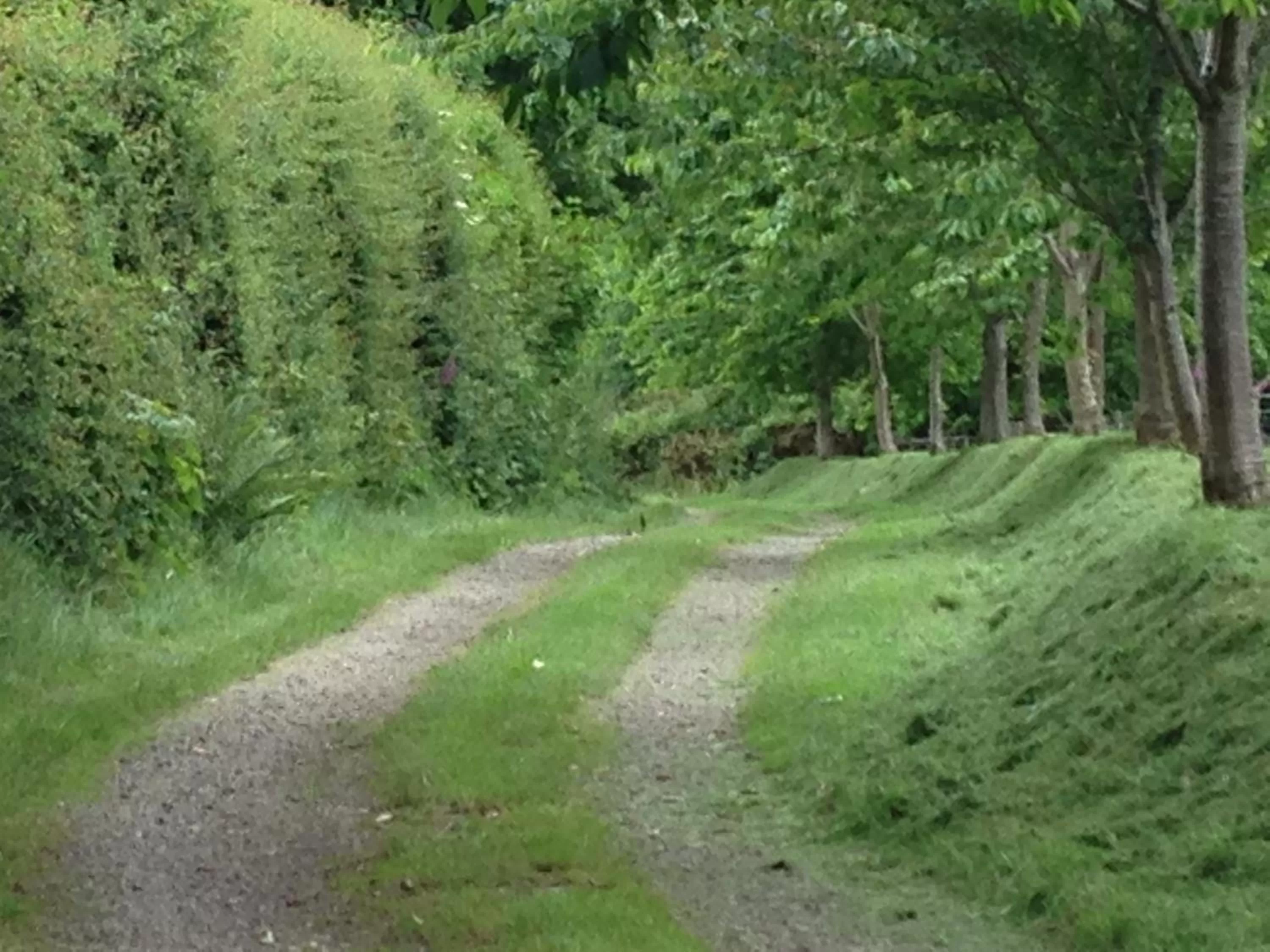 Facade/entrance in Lovaton Farmhouse