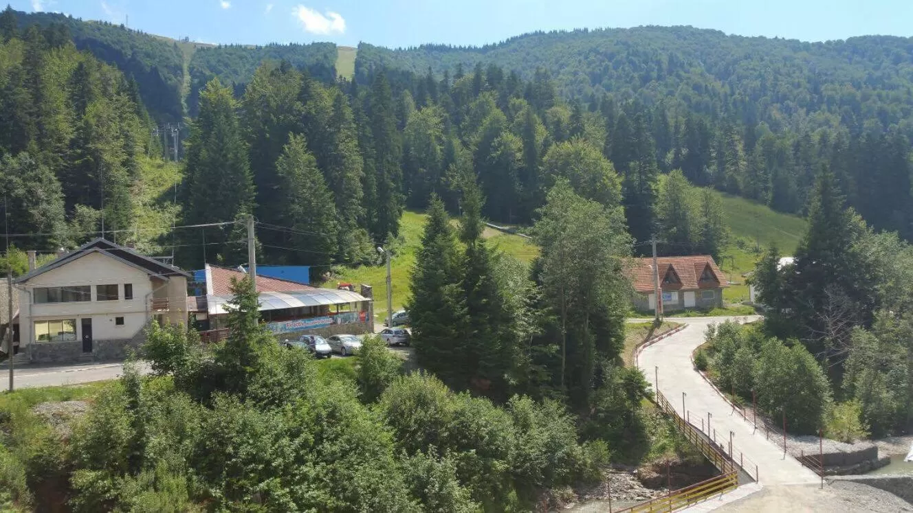 Bird's-eye View in Hotel Pin Azuga