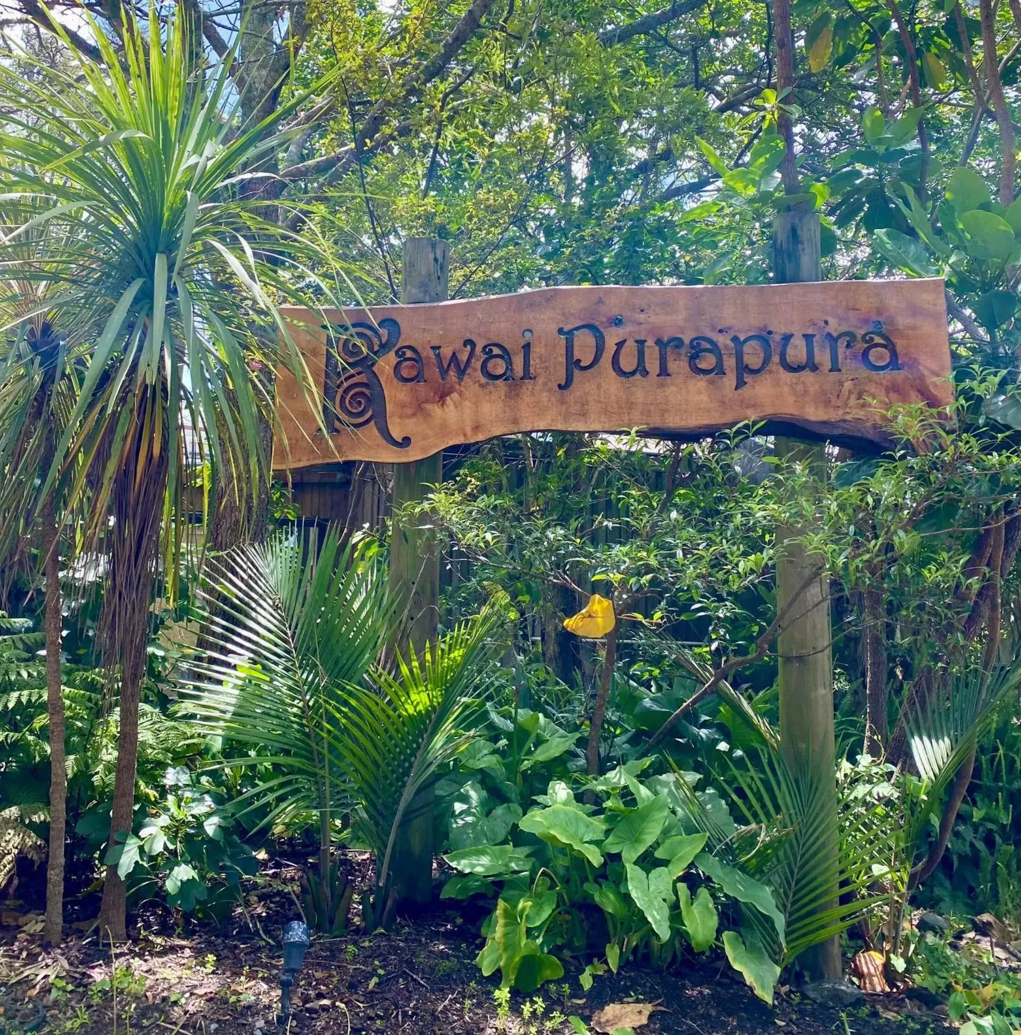 Property building in Kawai Purapura Yoga Retreat Centre Property building in Kawai Purapura Yoga Retreat Centre