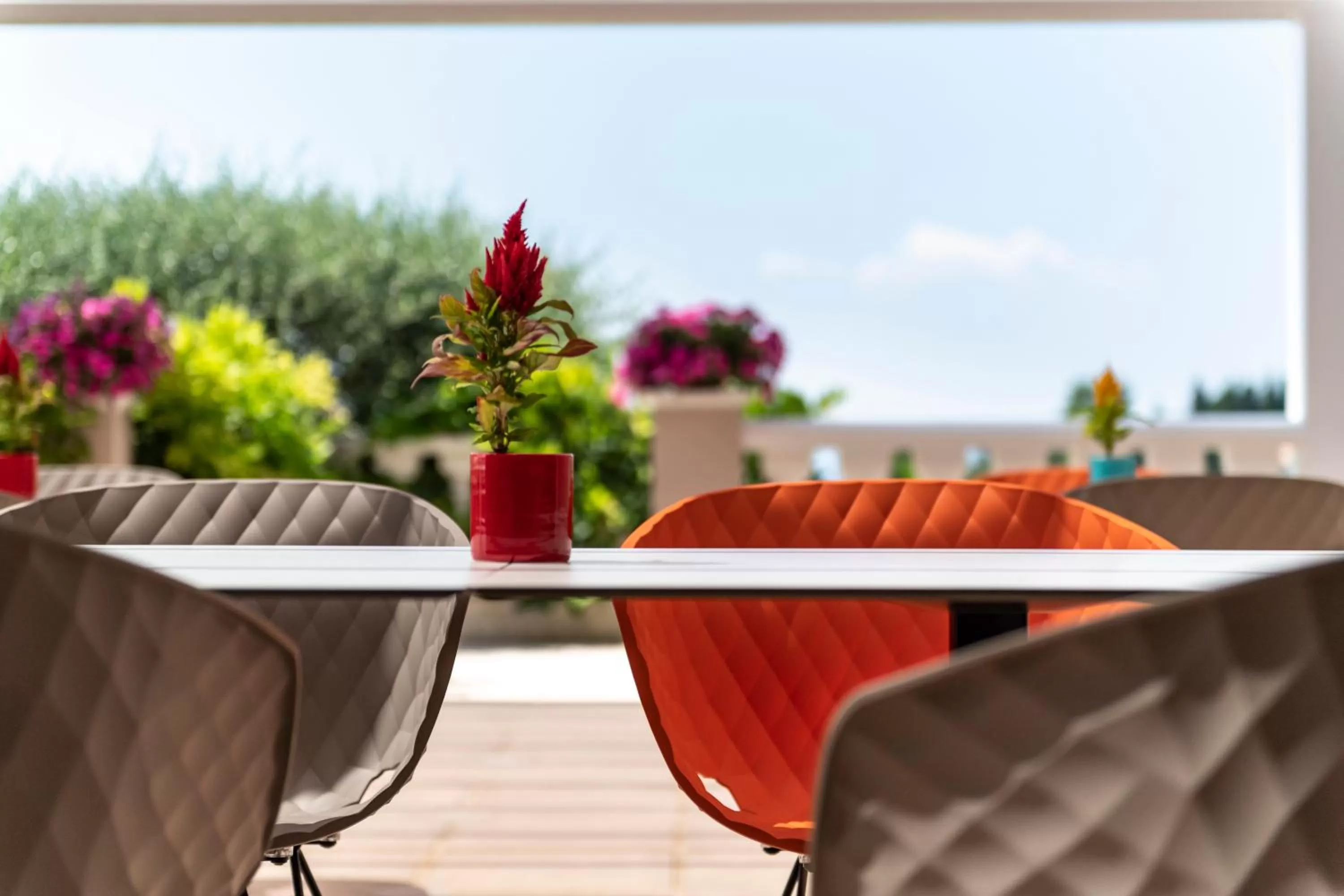 Balcony/Terrace in TERRE DE REVE