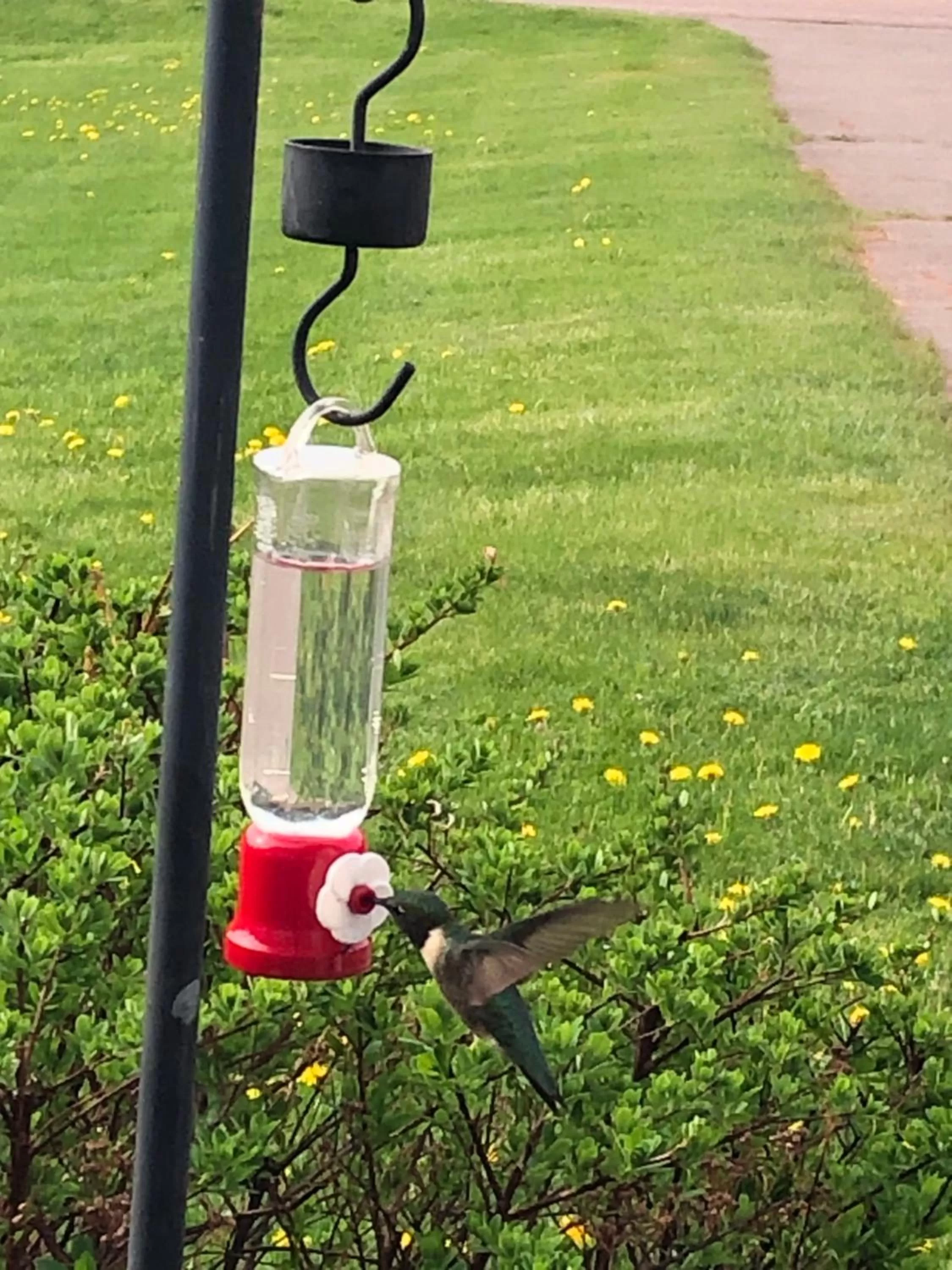 Baker Shore Bed and Breakfast