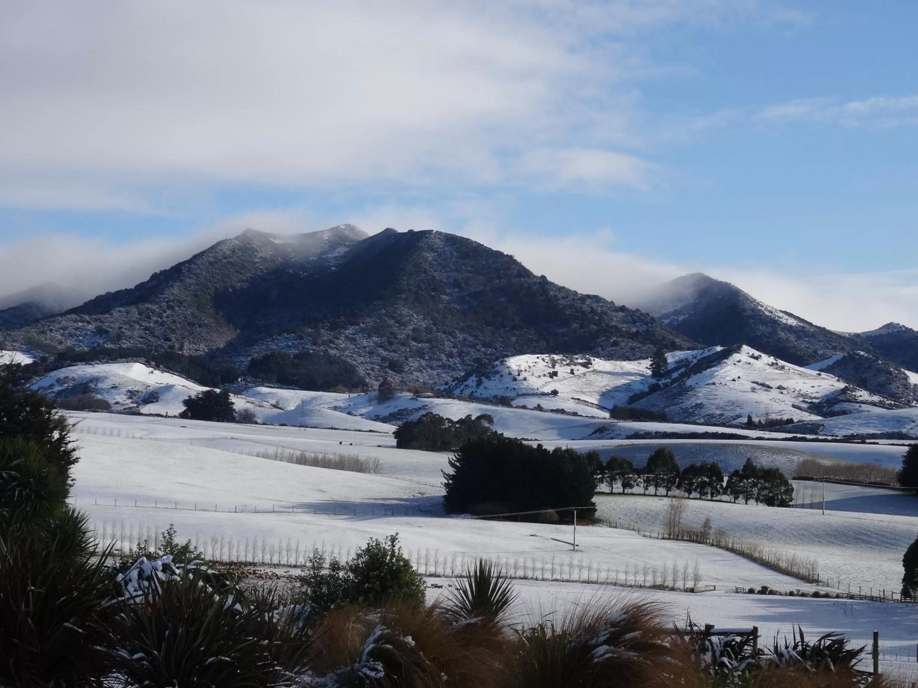 Hokonui Bed & Breakfast