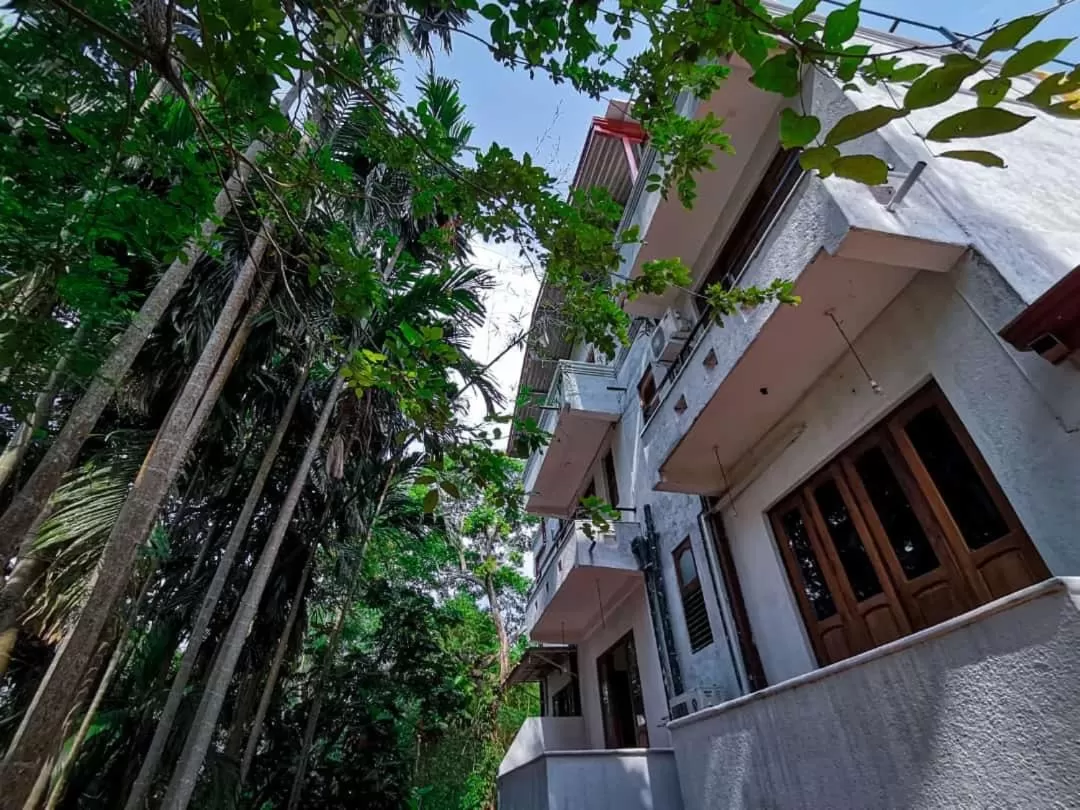 Garden, Property Building in Divine Villa