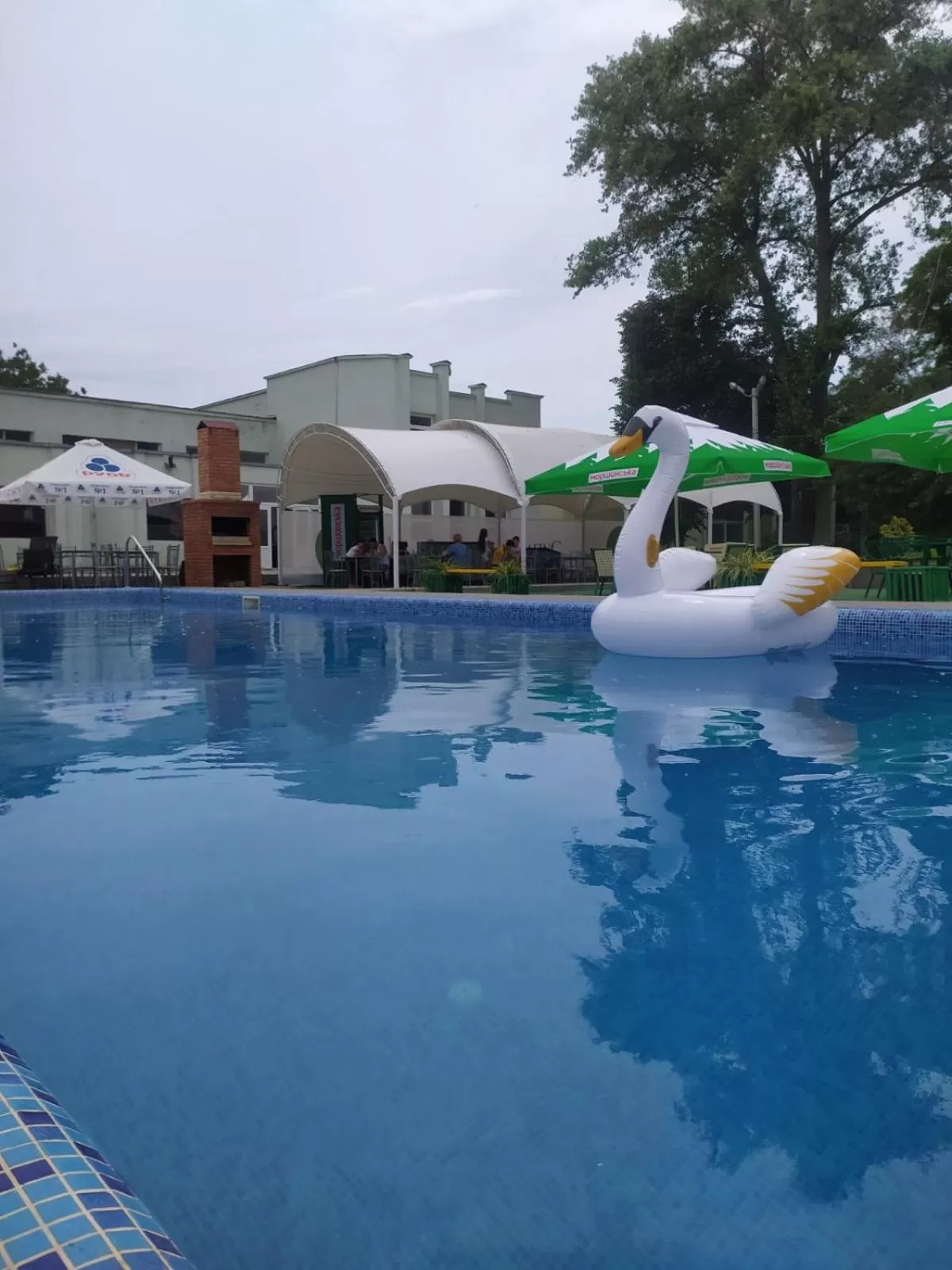 Restaurant/places to eat, Swimming Pool in Zelenyi Kampus