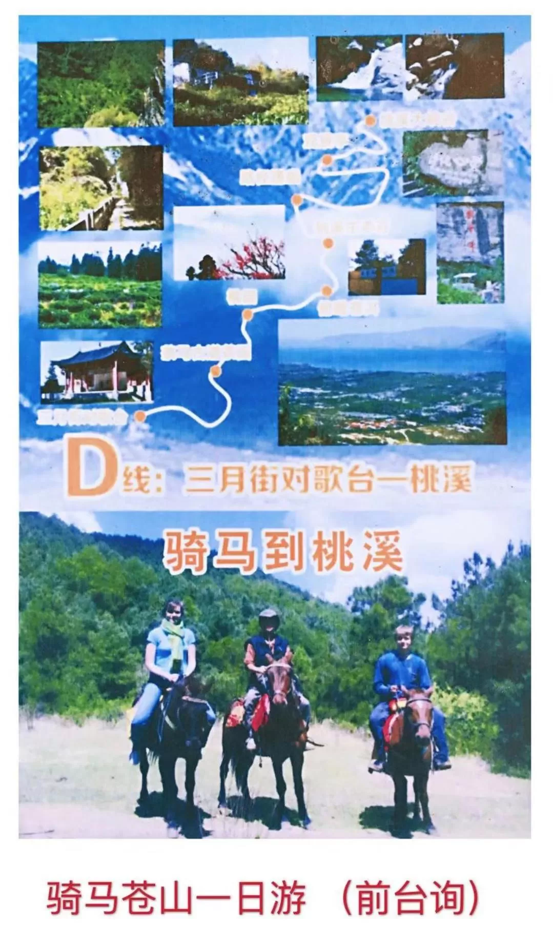 Logo/Certificate/Sign in The Lily Pad Inn