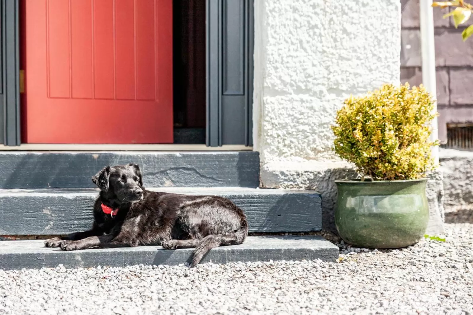Facade/entrance in The Old Vicarage