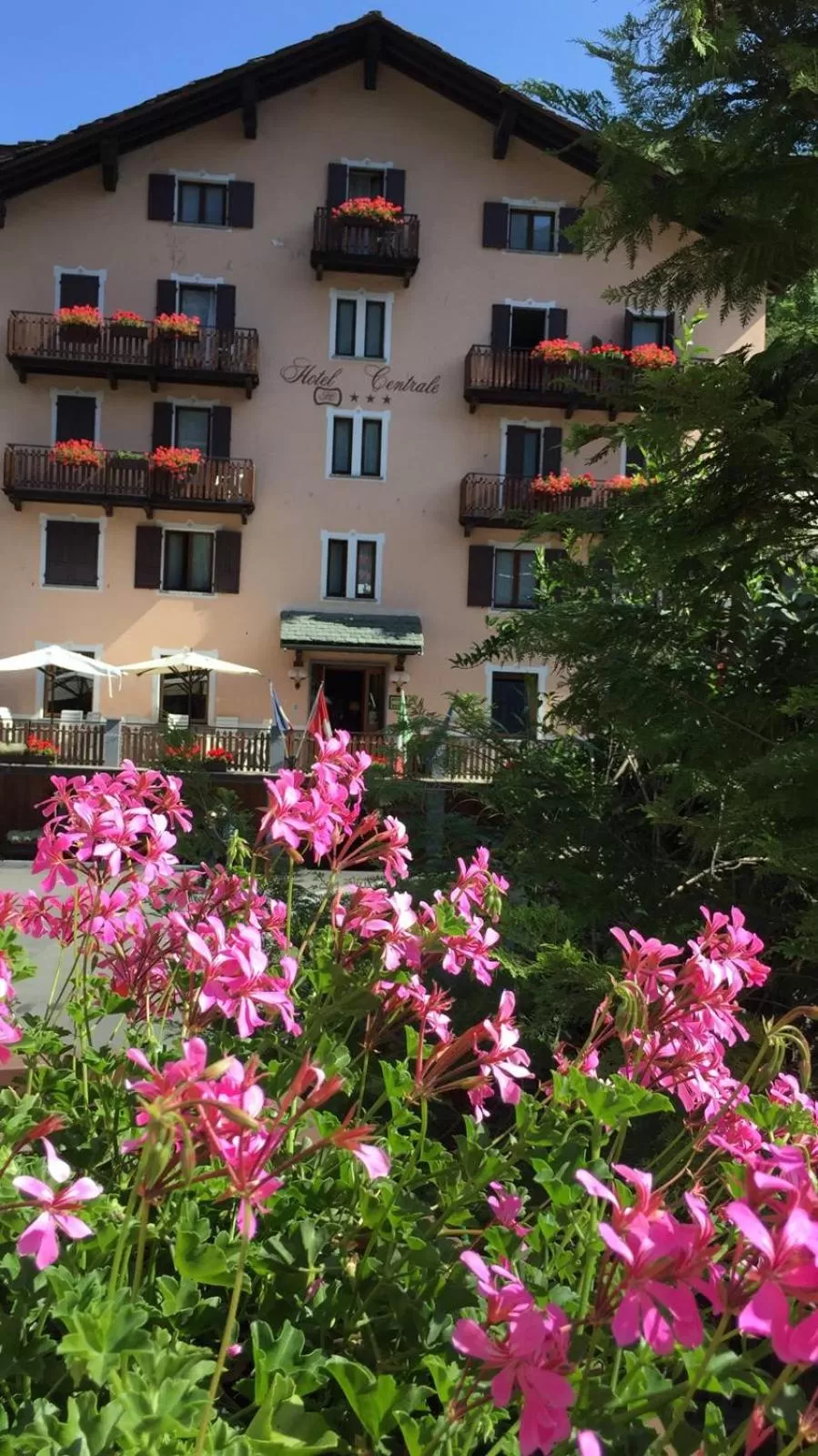 Property building in Centrale