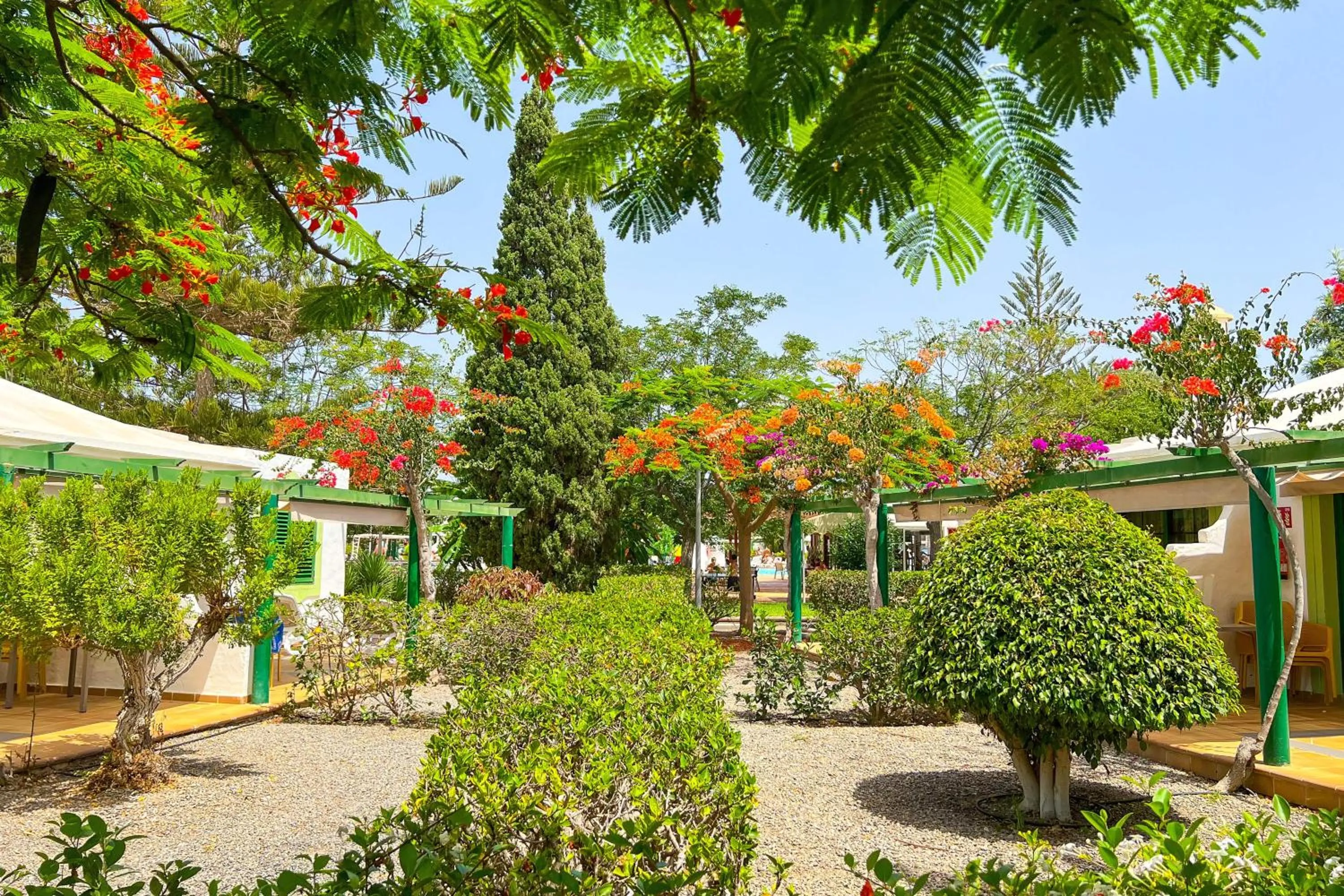 Garden in Bungalows Cordial Sandy Golf