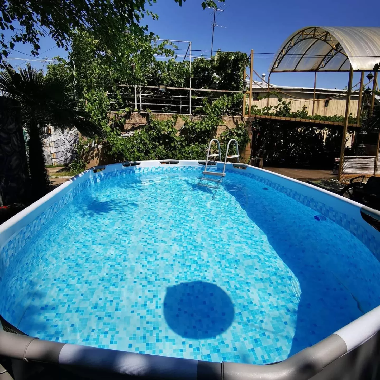 Pool view, Swimming Pool in Qilimcha's Guesthouse