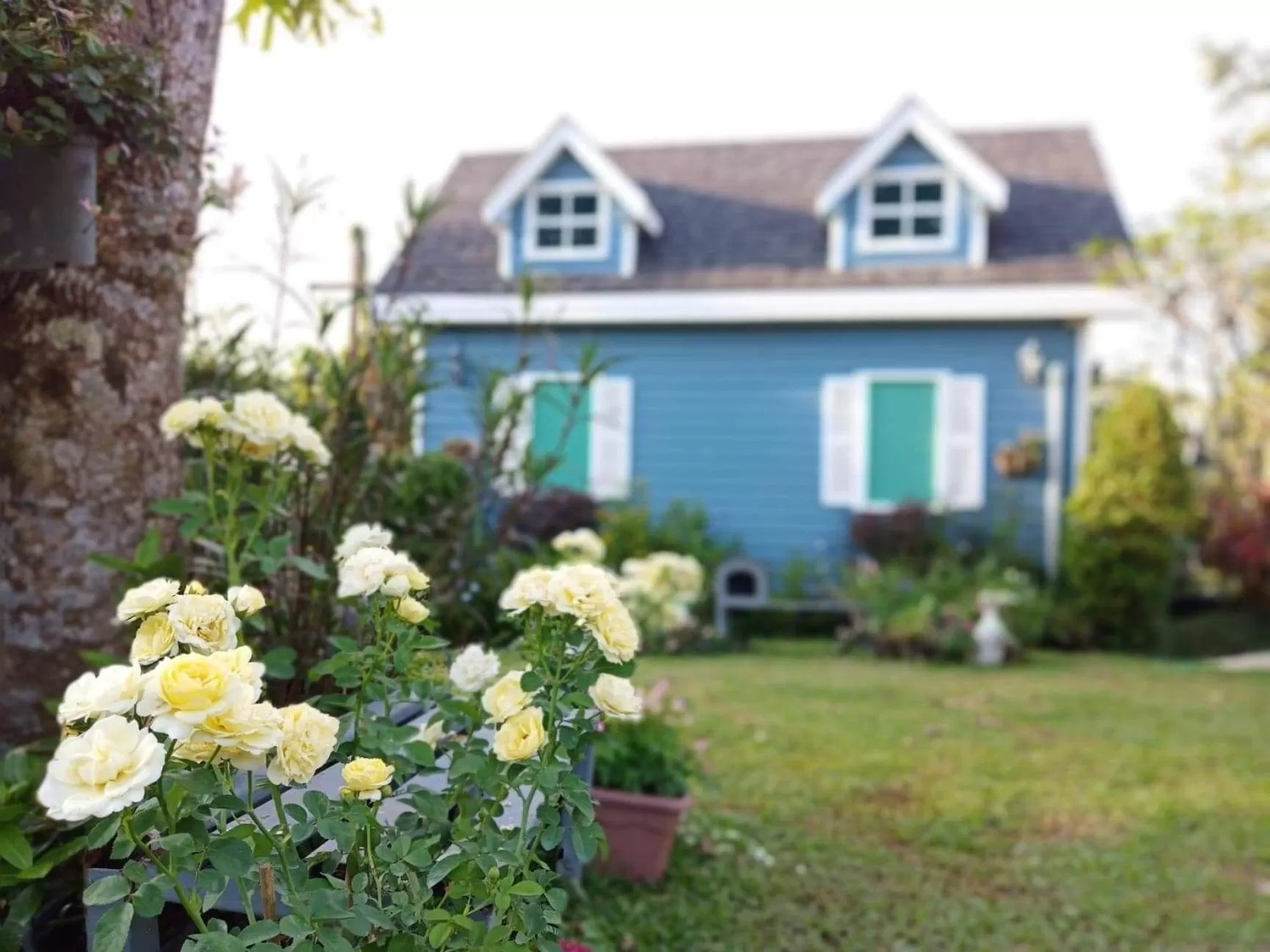 Baan JaoKorKluay บ้านเจ้ากอกล้วย