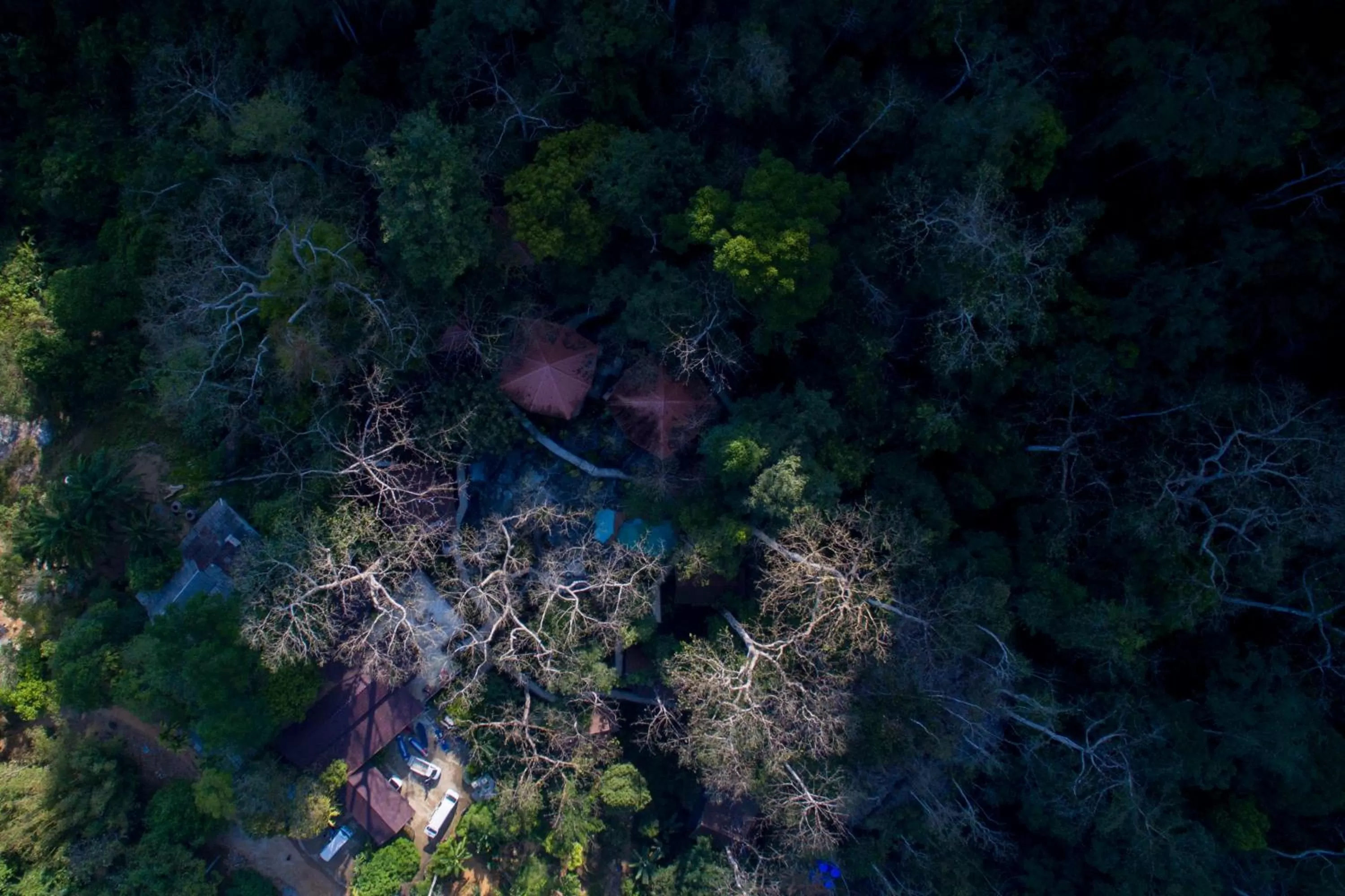 Bird's eye view in Rock and Tree House Resort