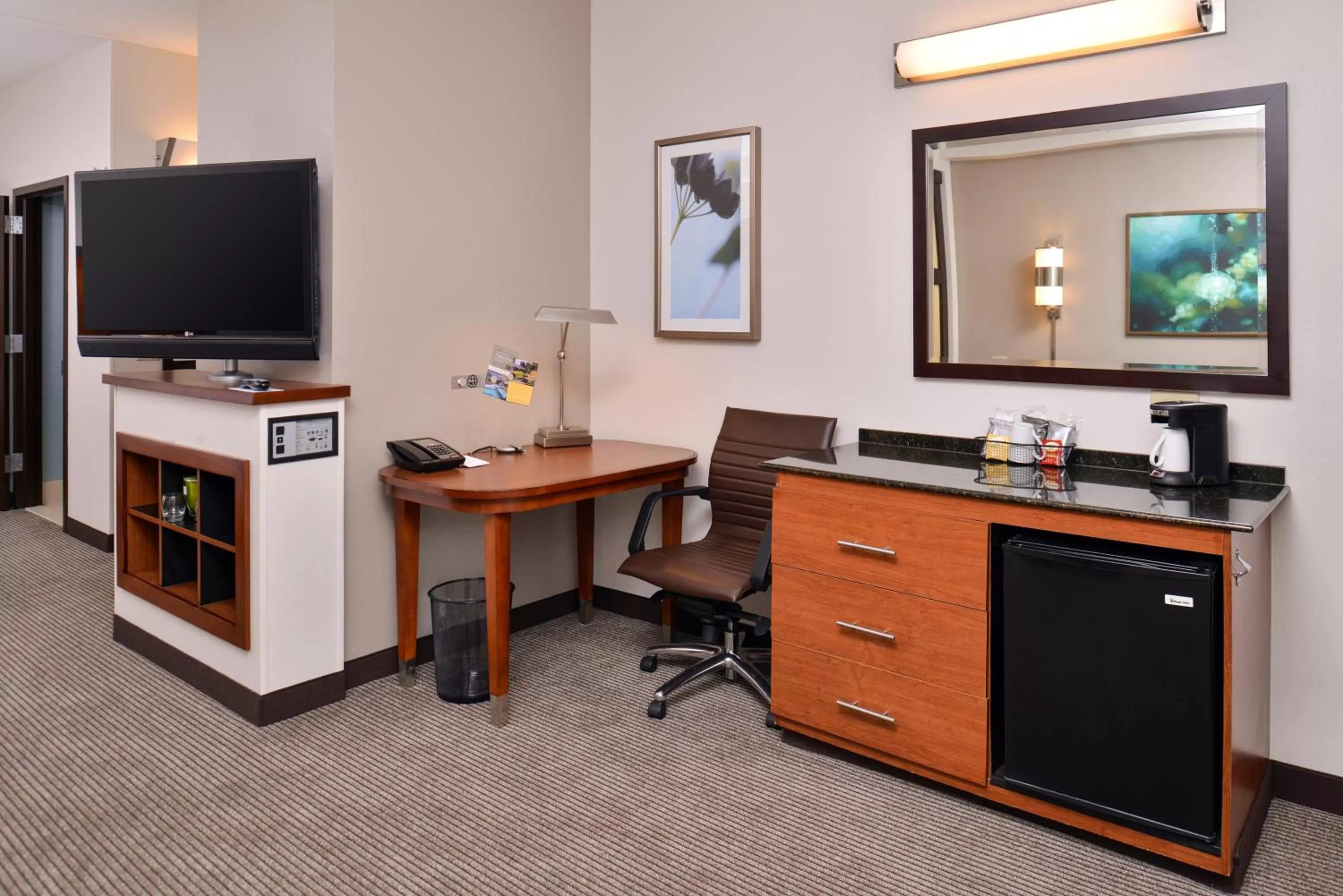 King Room with Sofa Bed and Roll-In Shower - Disability Access in Hyatt Place Garden City