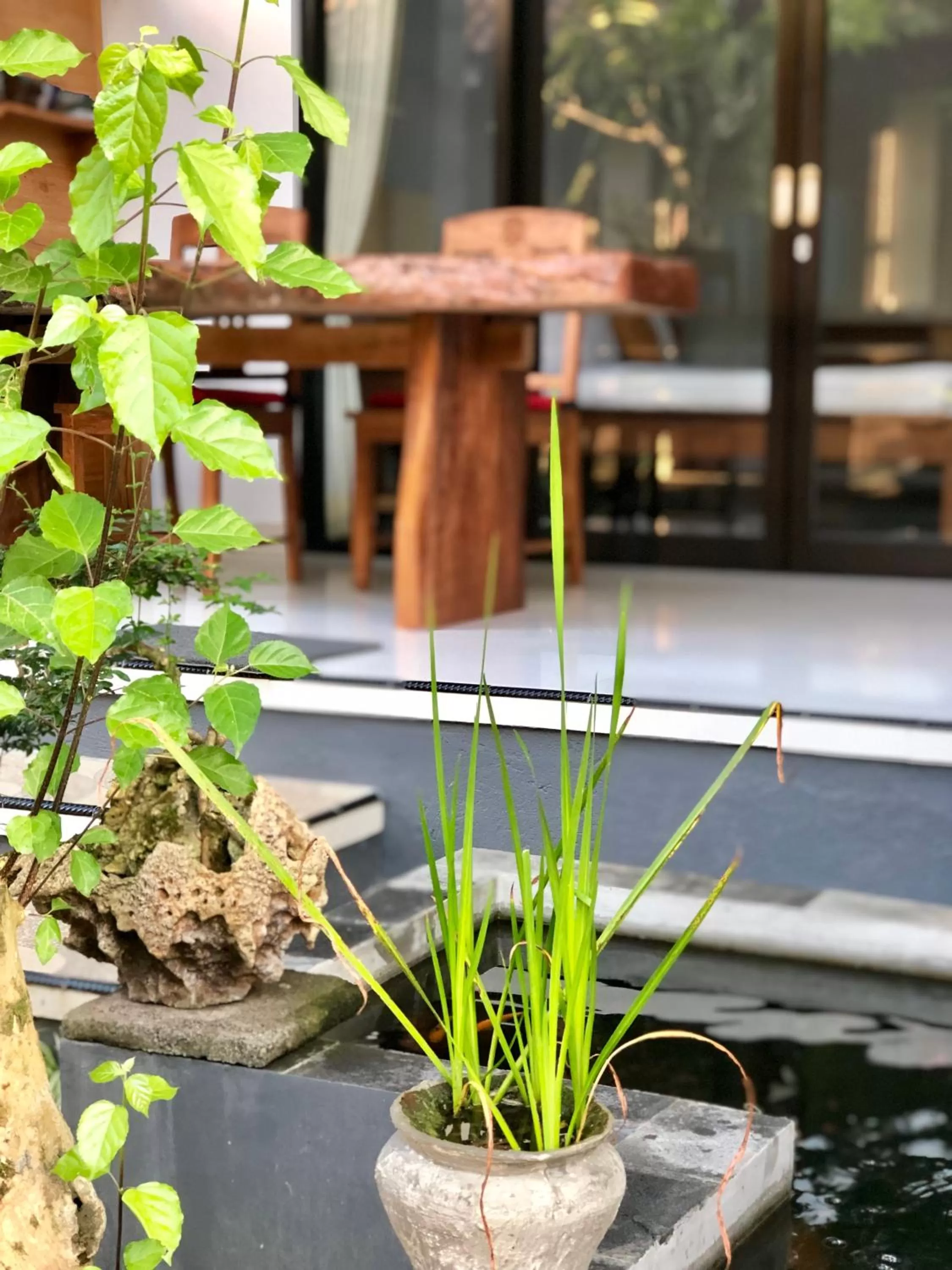 Garden in The Hidden Bali Inn