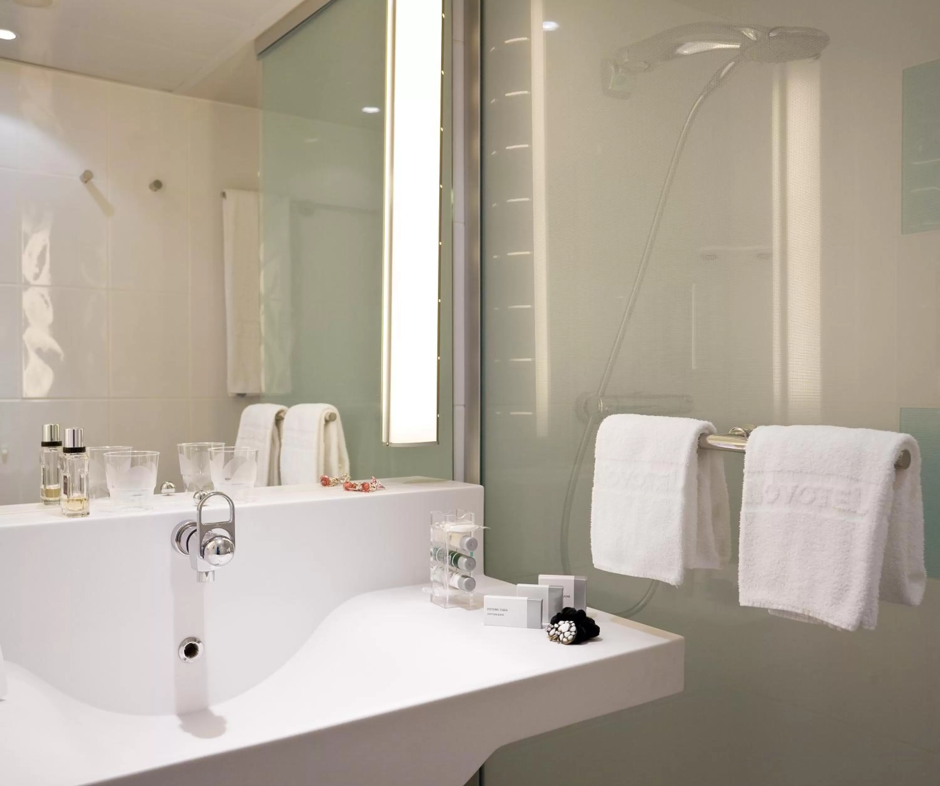 Superior Room with 1 Double Bed and 1 Single Bed in Novotel Mulhouse Bâle Fribourg