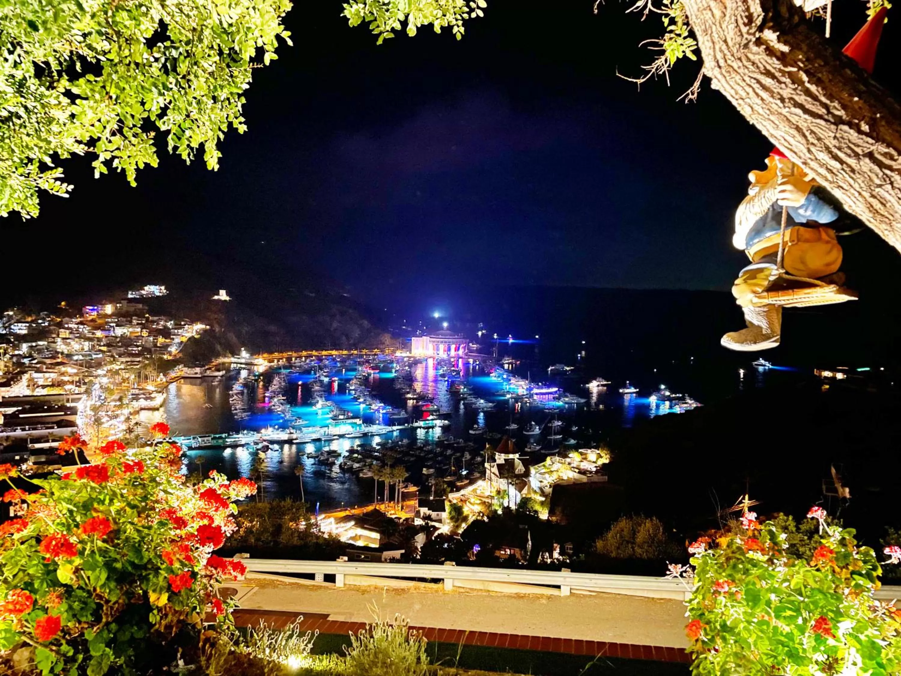 Night in Catalina Courtyard Suites