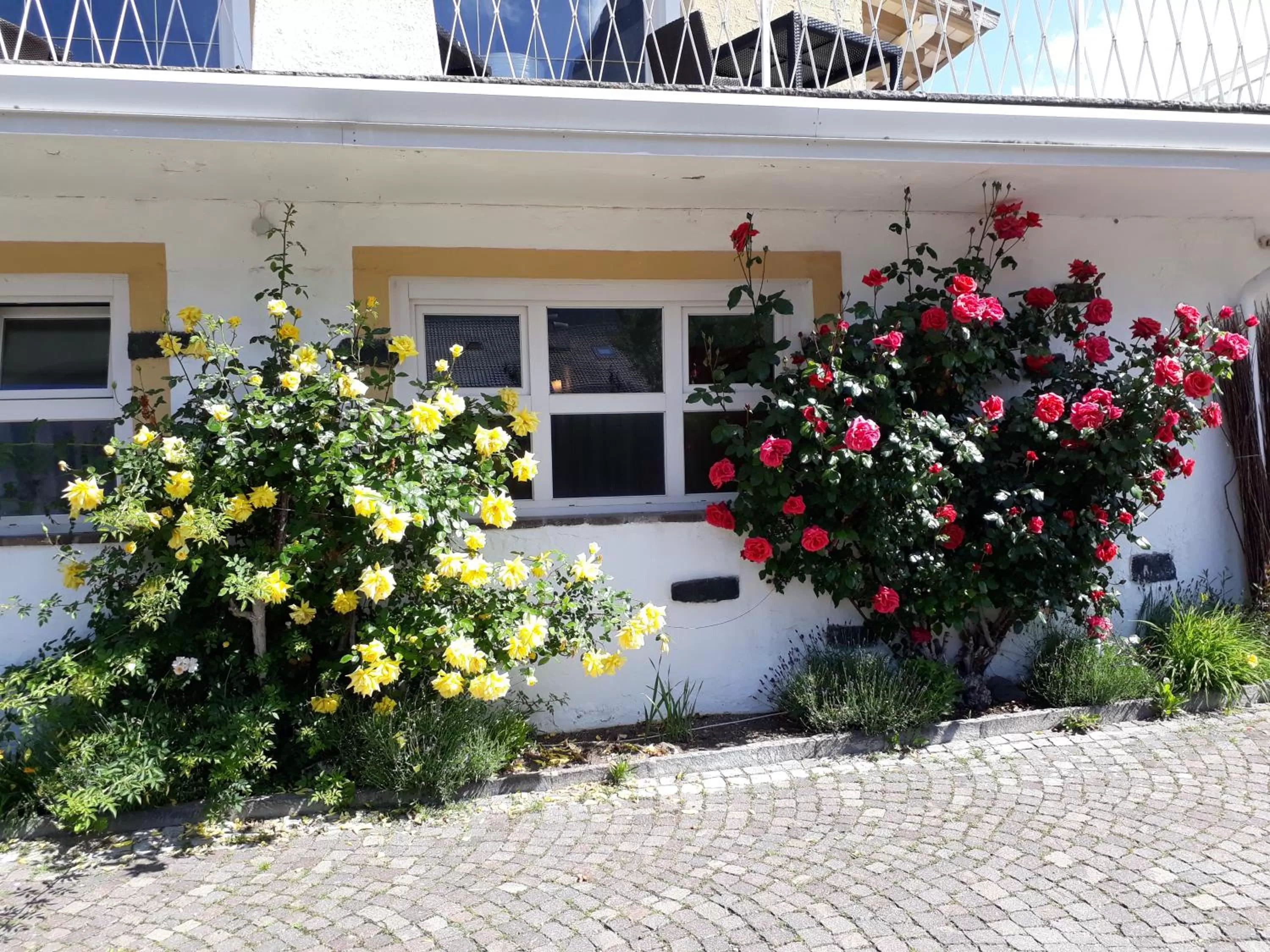 Property building in Parc Hotel Florian