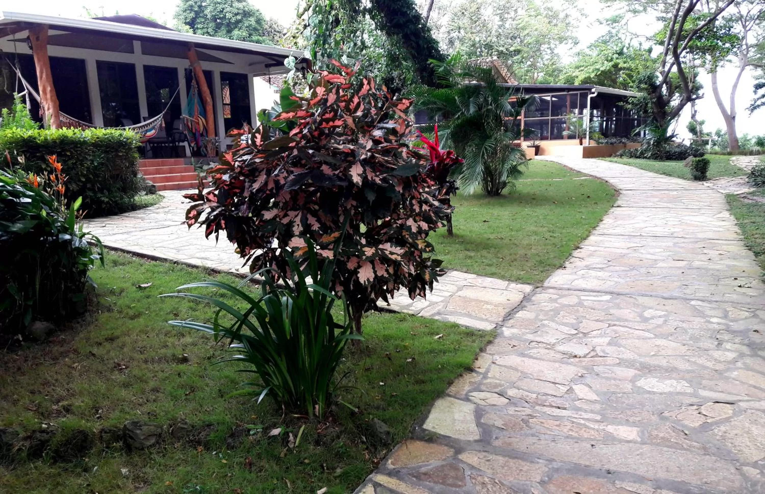 Garden in Xalli Beach Hotel