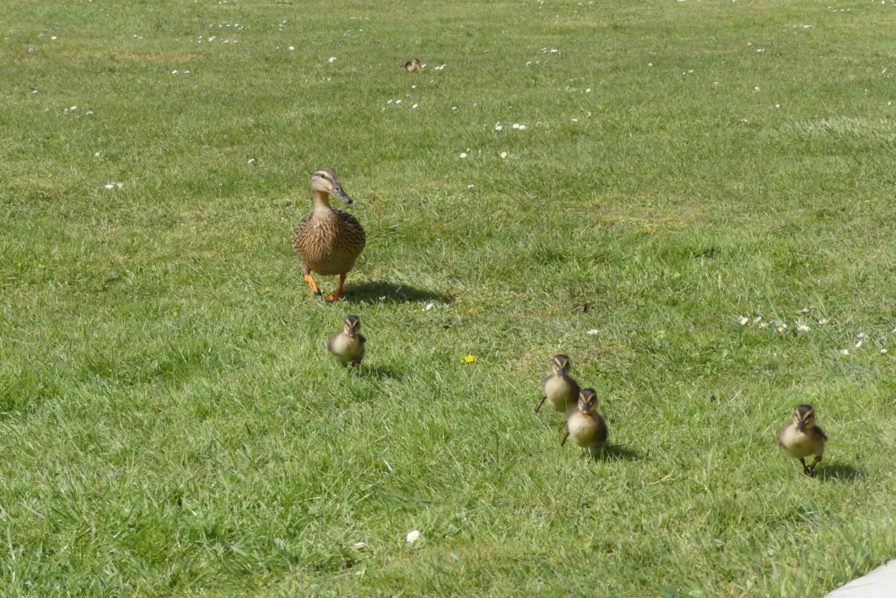 Chambres et Table d'Hôtes Les Machetières