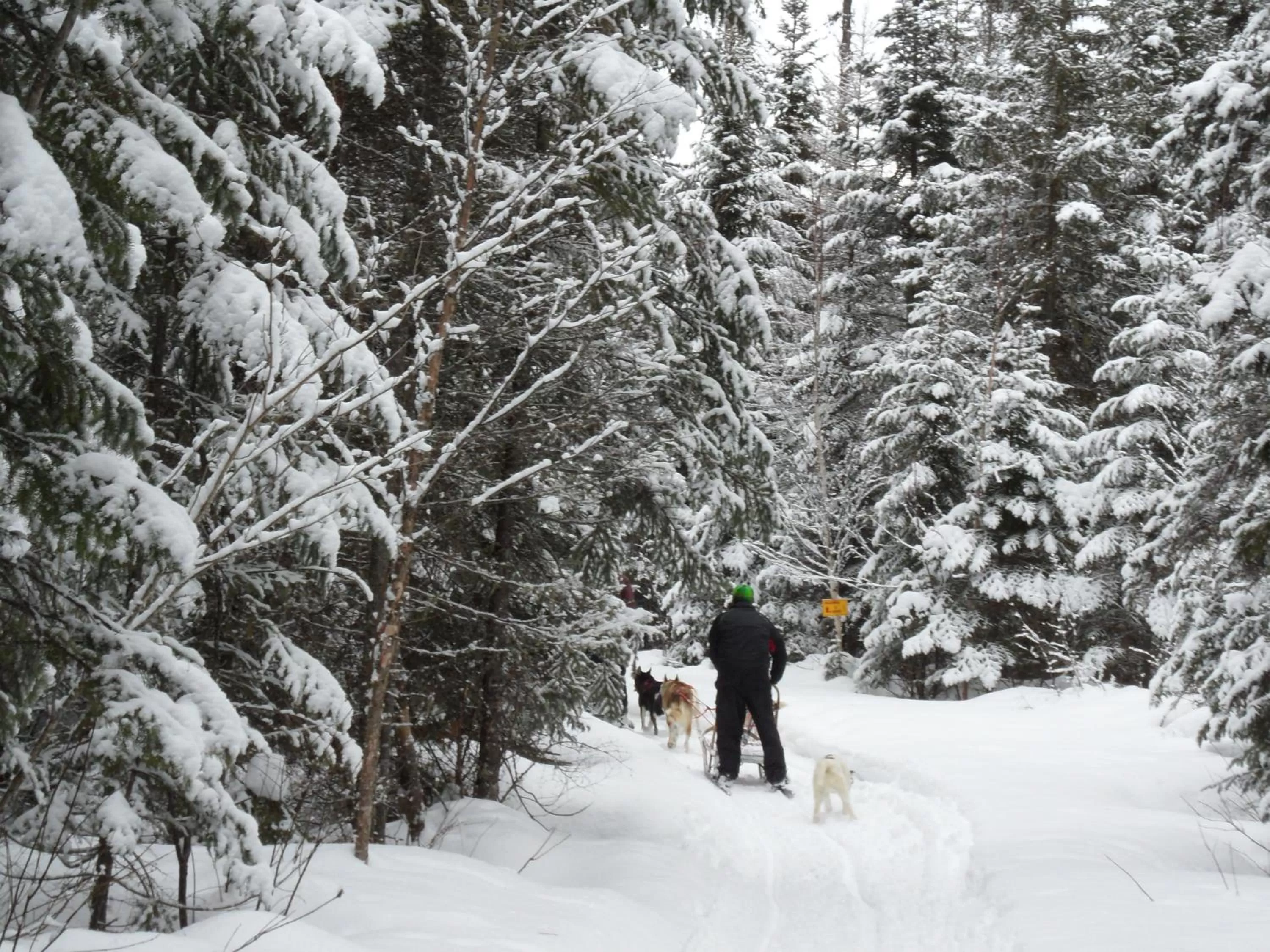 Activities in Le Relais des Hautes Gorges