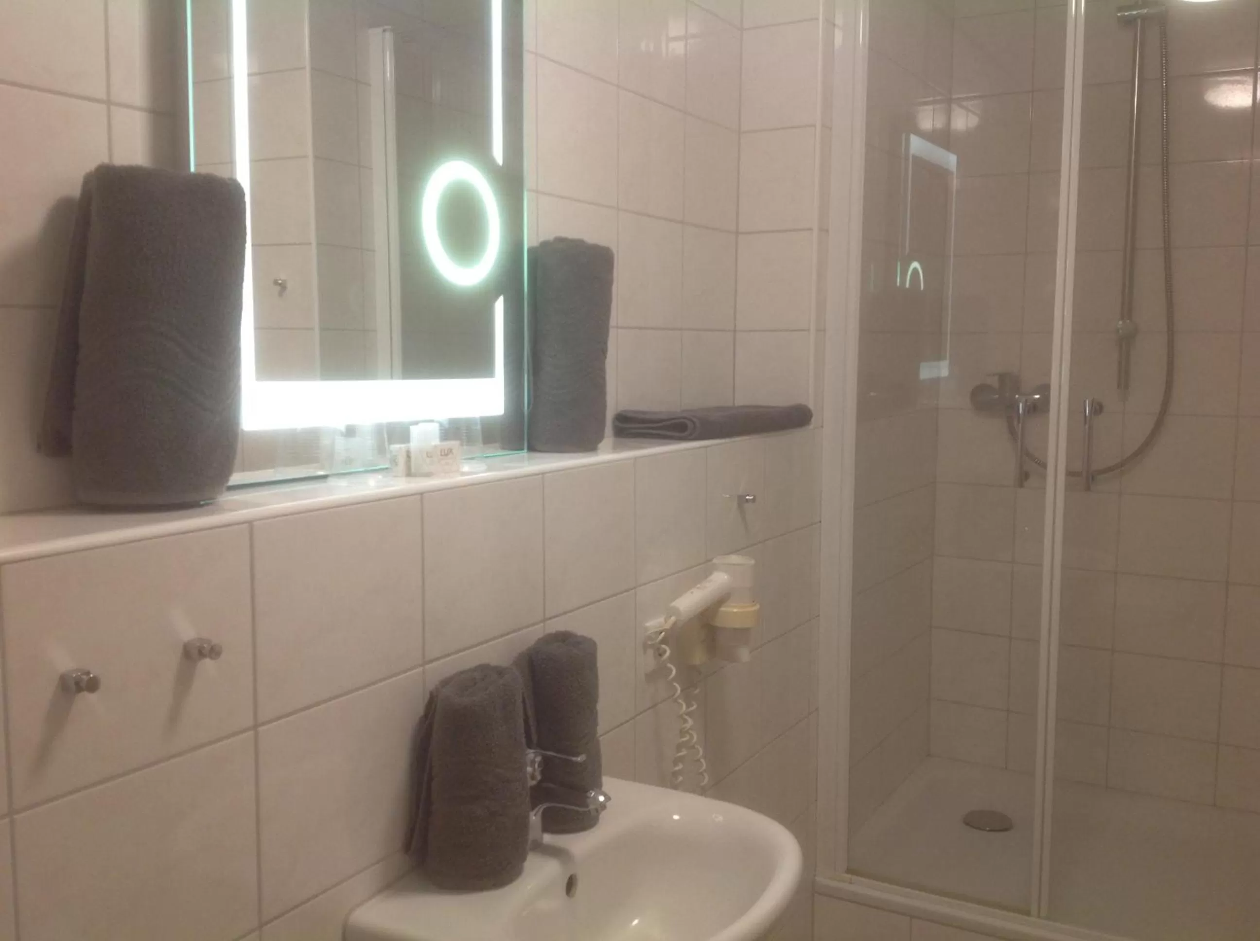 Bathroom in Hotel Restaurant Fritz