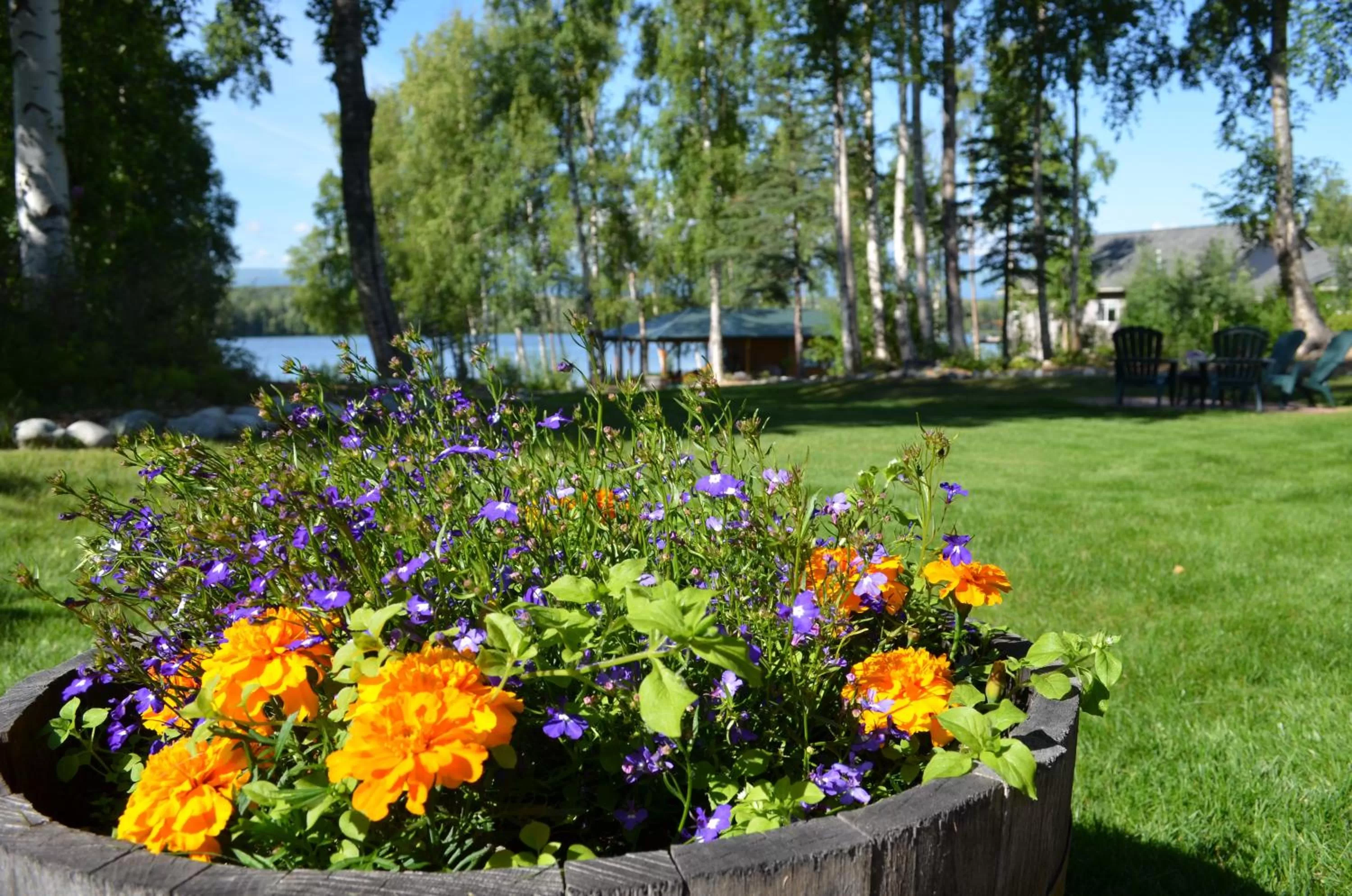 Garden view in Alaska's Lake Lucille Bed & Breakfast