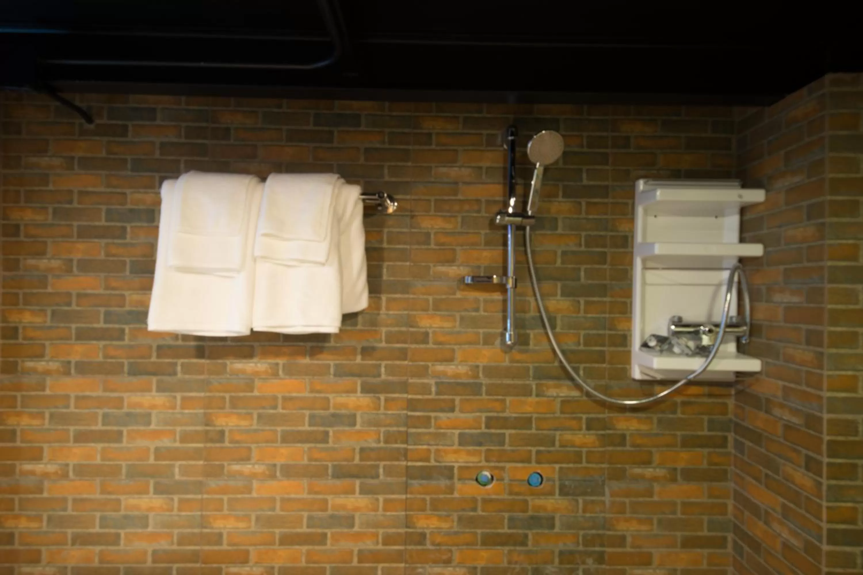 Shower in V20 Boutique Jacuzzi Hotel