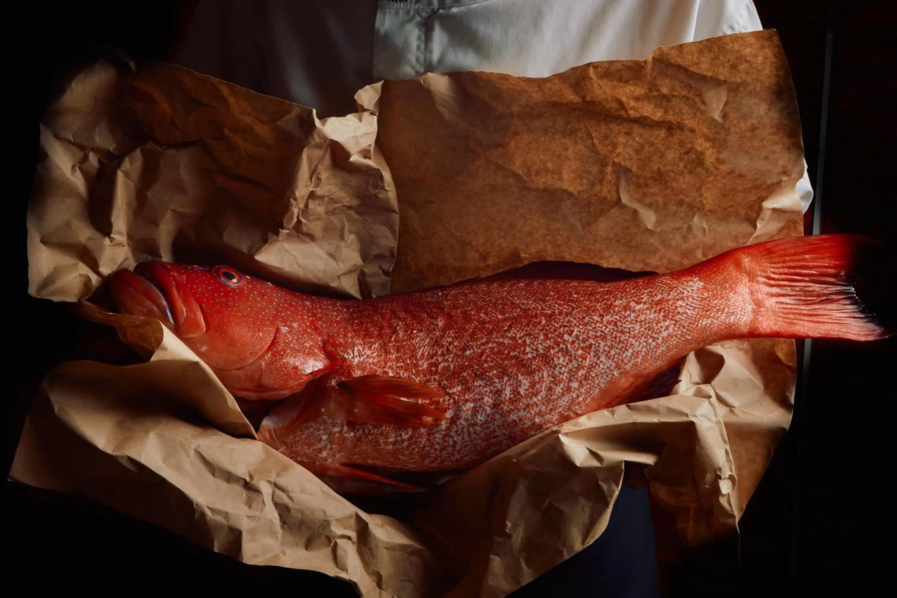 Restaurant/places to eat in Park Hyatt Melbourne