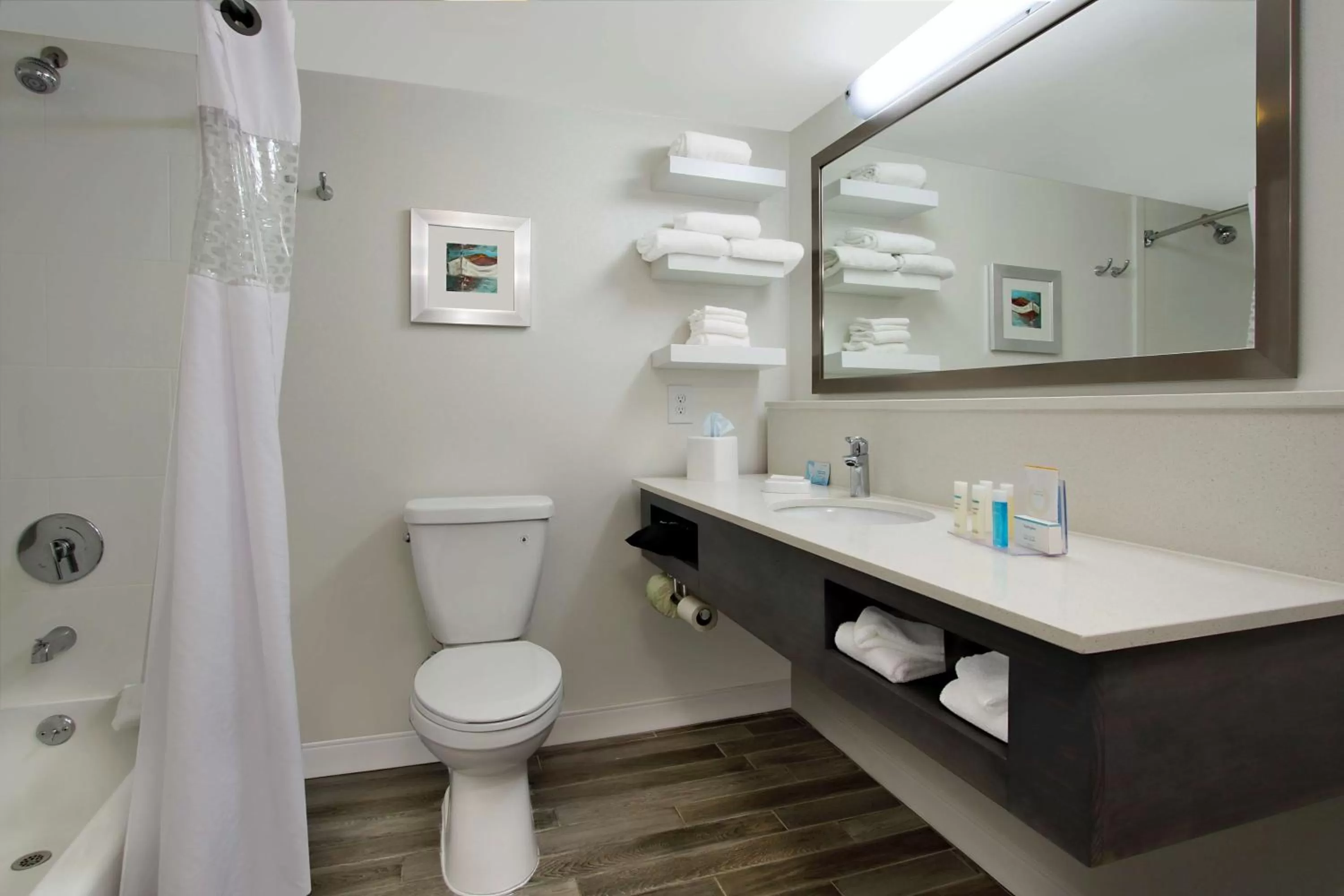 Bathroom in Hampton Inn Madison