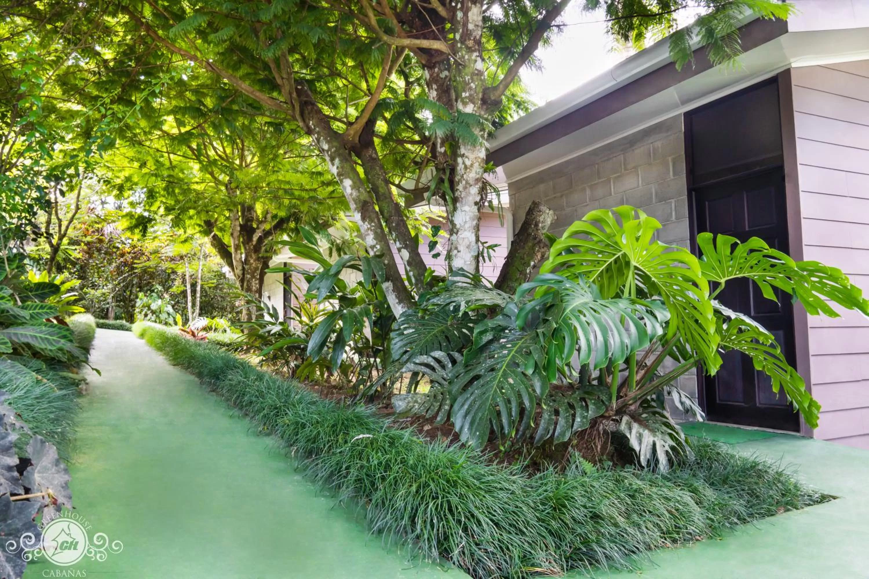 Property Building in Cabañas Green House