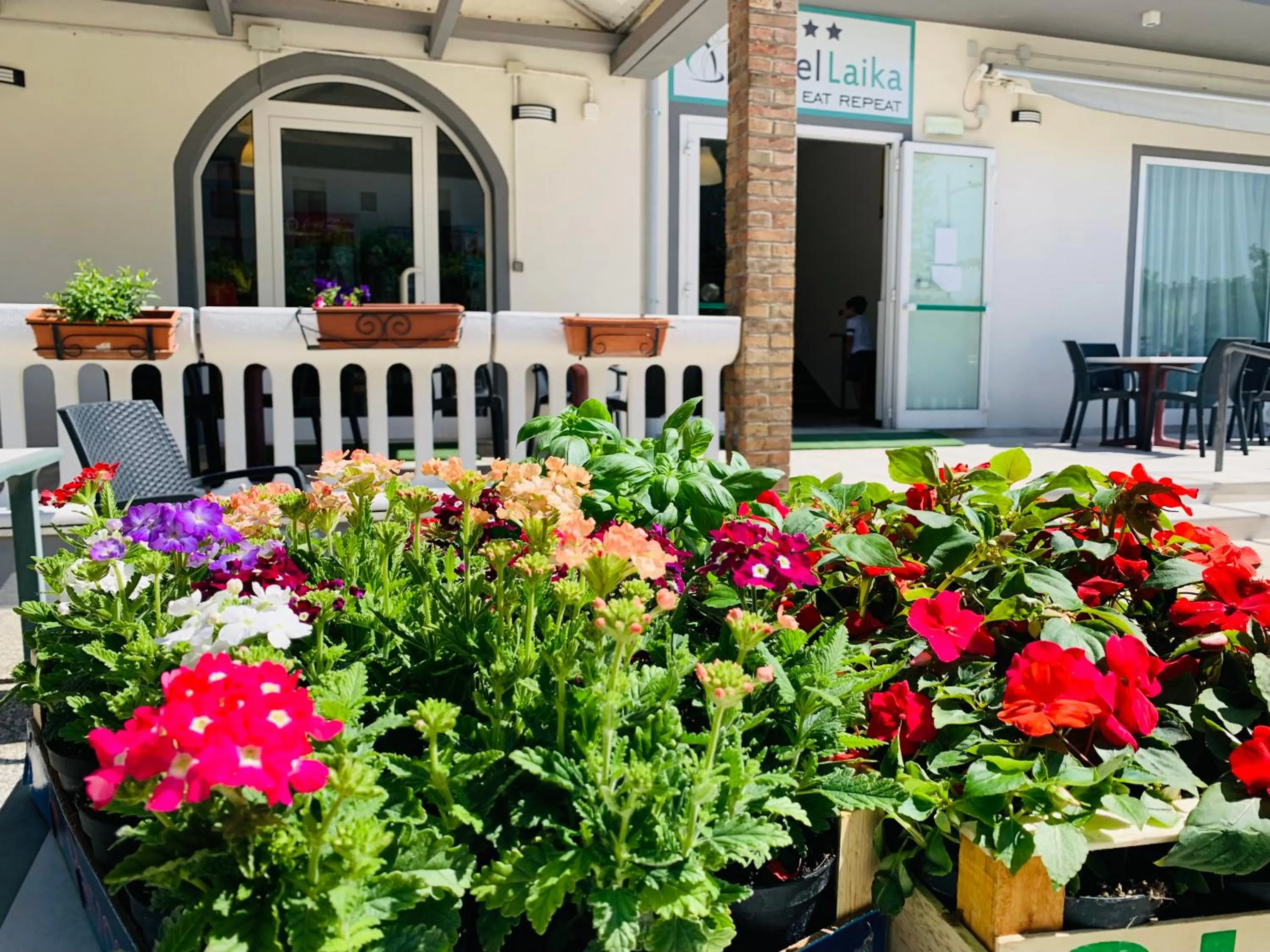 Patio in Hotel Laika