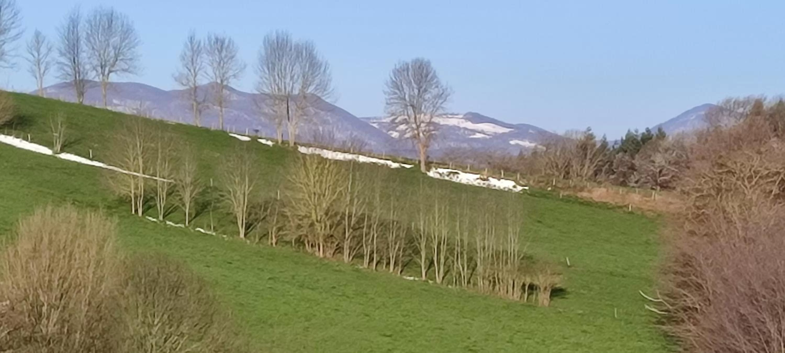 Domaine Le Lanis Chambre d'hôtes avec spa sur réservation