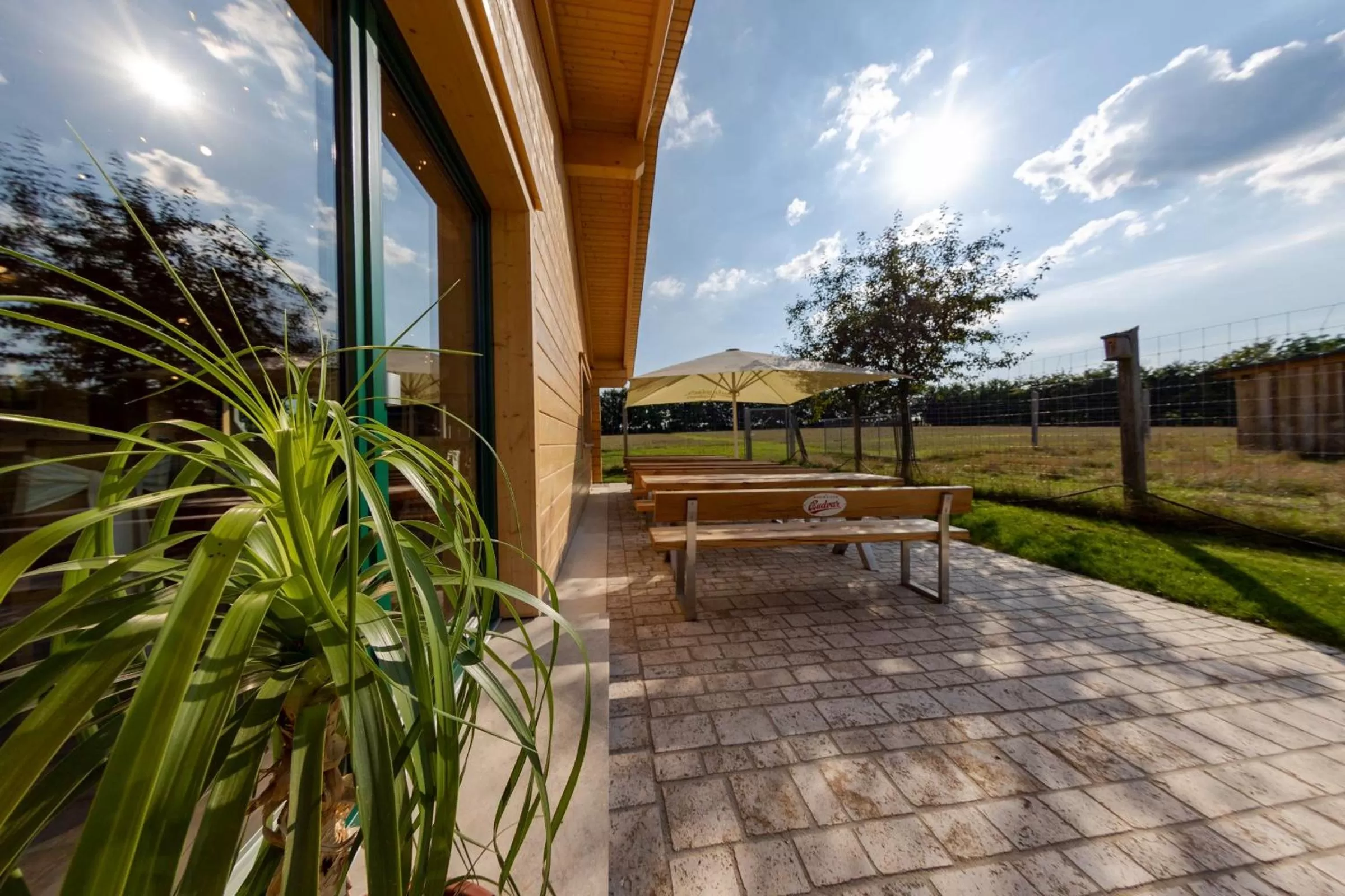 Garden view in Hotel Schwartze