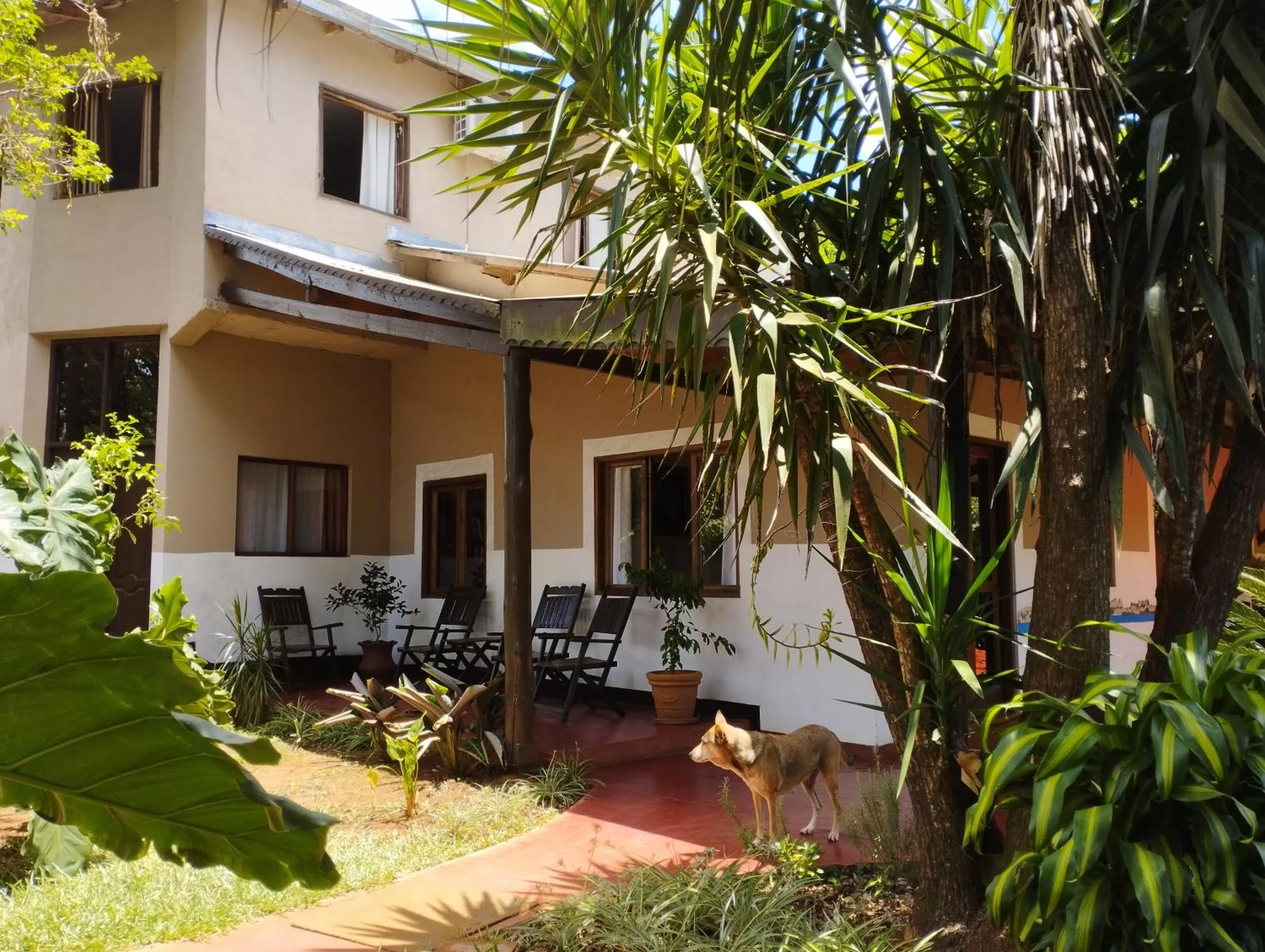 Property building in Los Tangueros