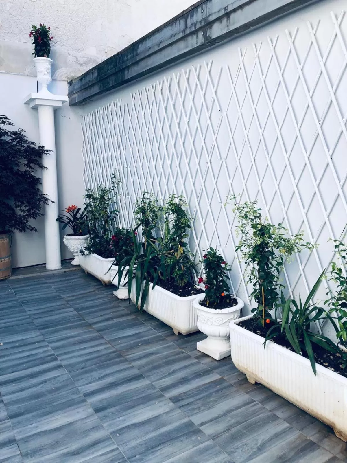 Property building in Naviglio81