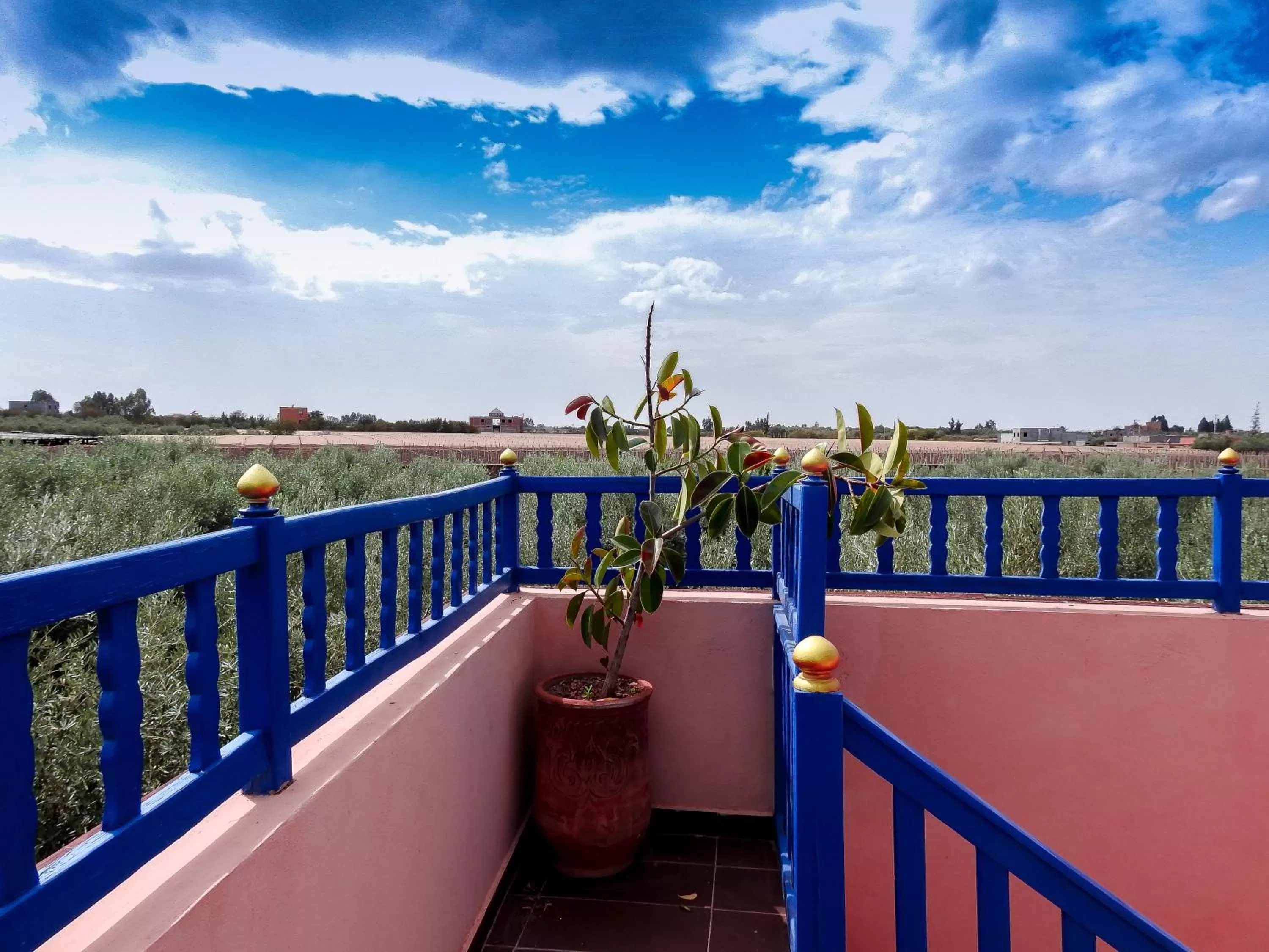 Balcony/Terrace in Le Bleu House