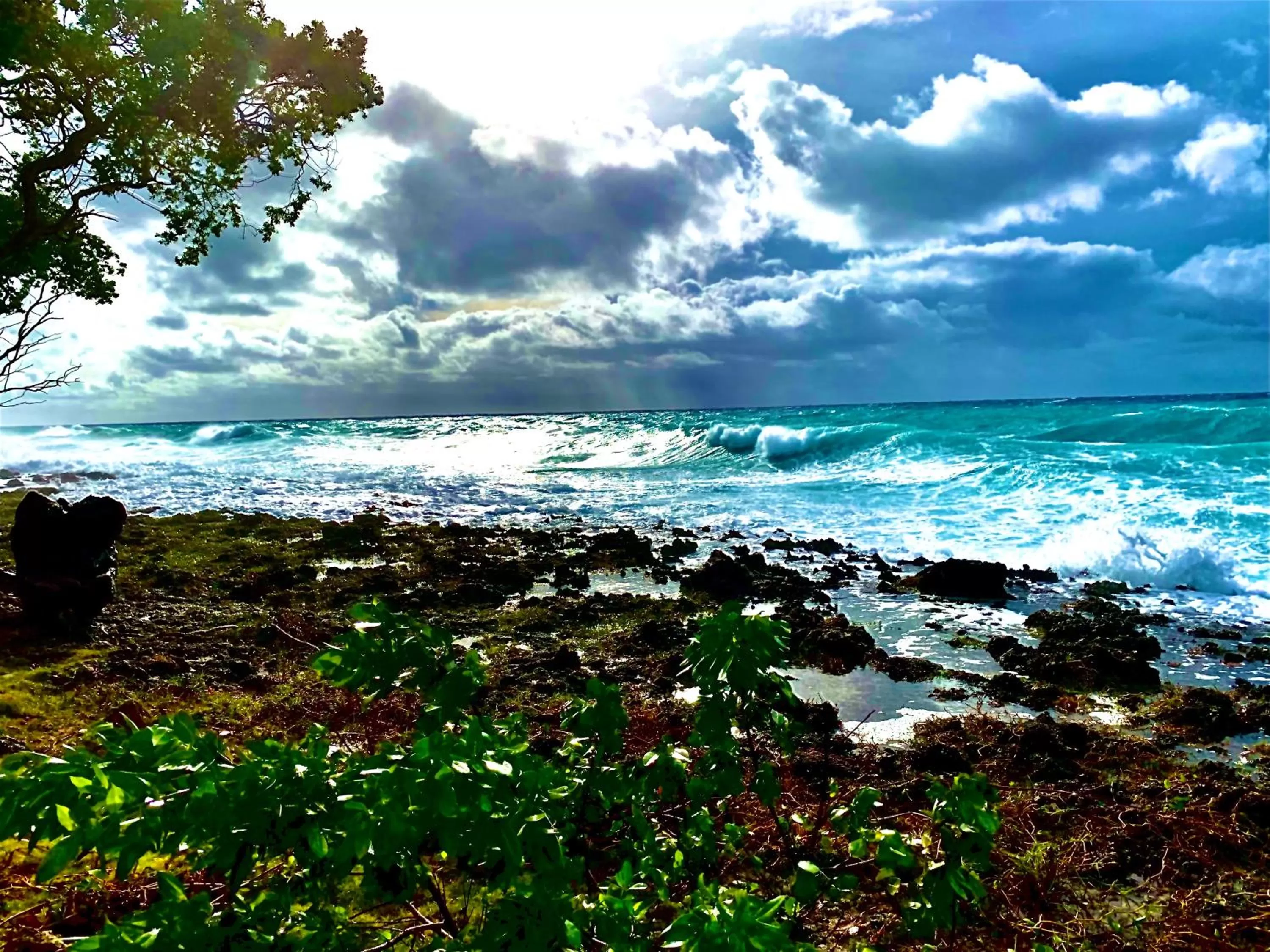 Natural landscape in In Di House of Reggae Boutique