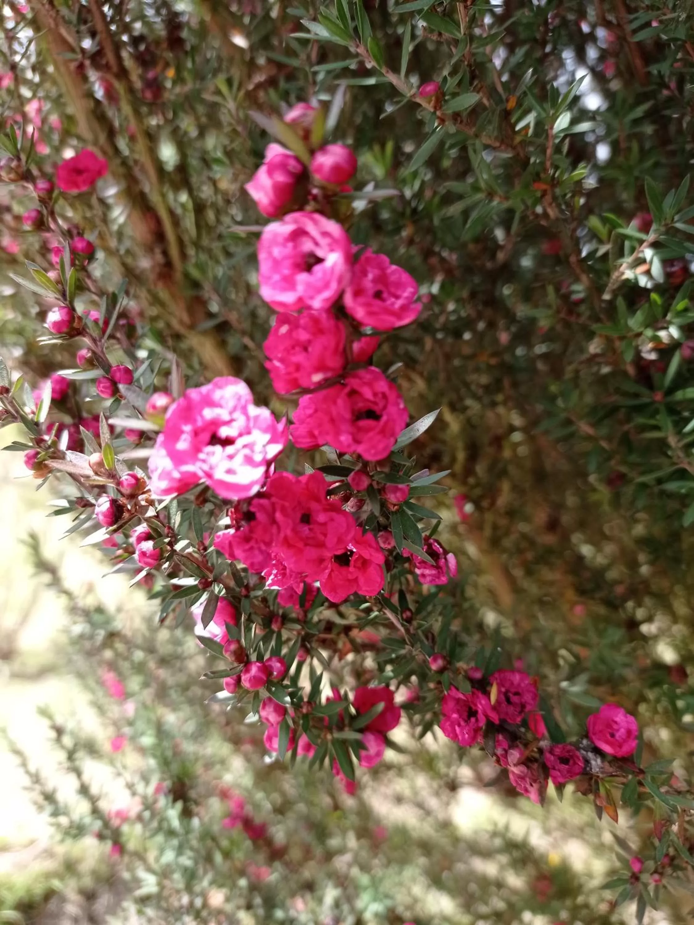 Hotel Refugio Pozo Azul