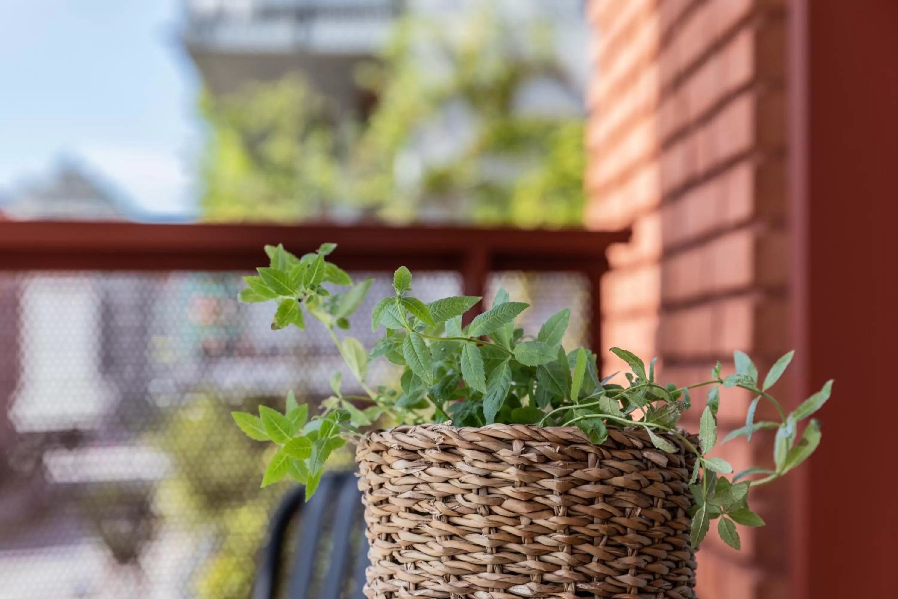 Garden in The More Hotel Västra Hamnen