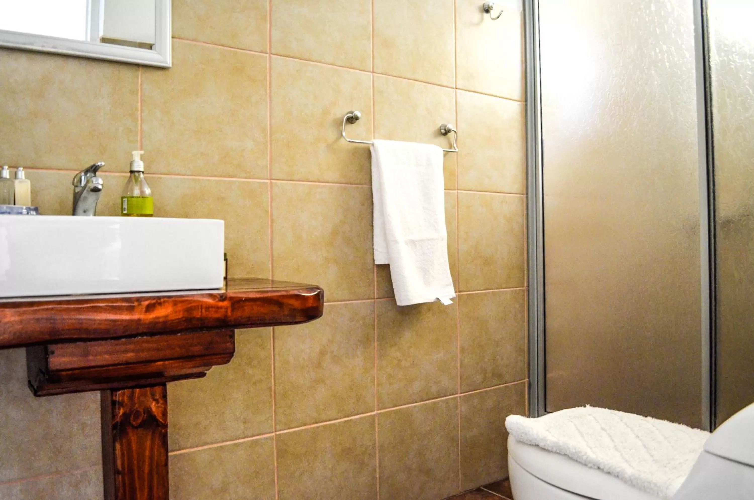 Shower in Hostal Cepa Noble