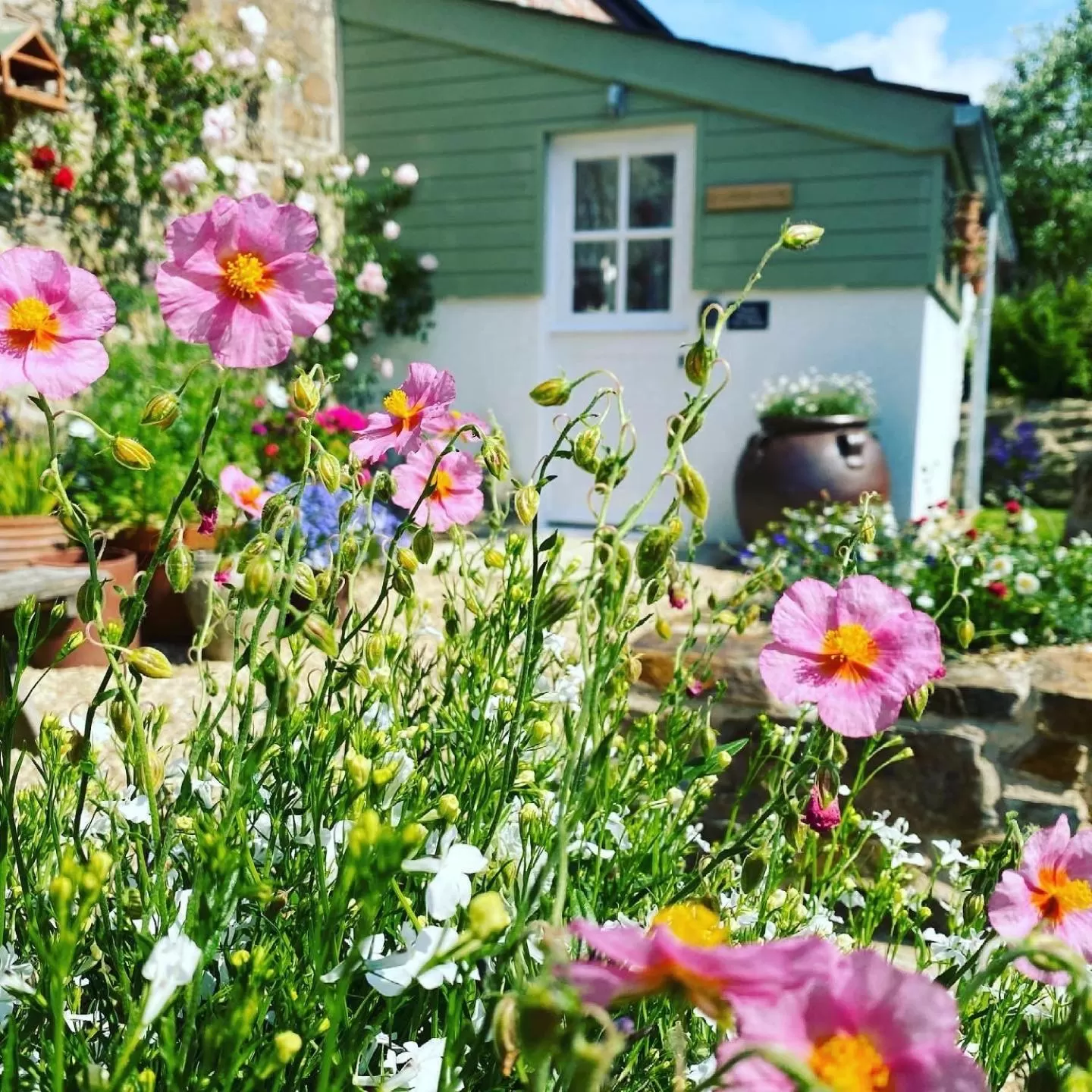 Garden view in Penwyth House