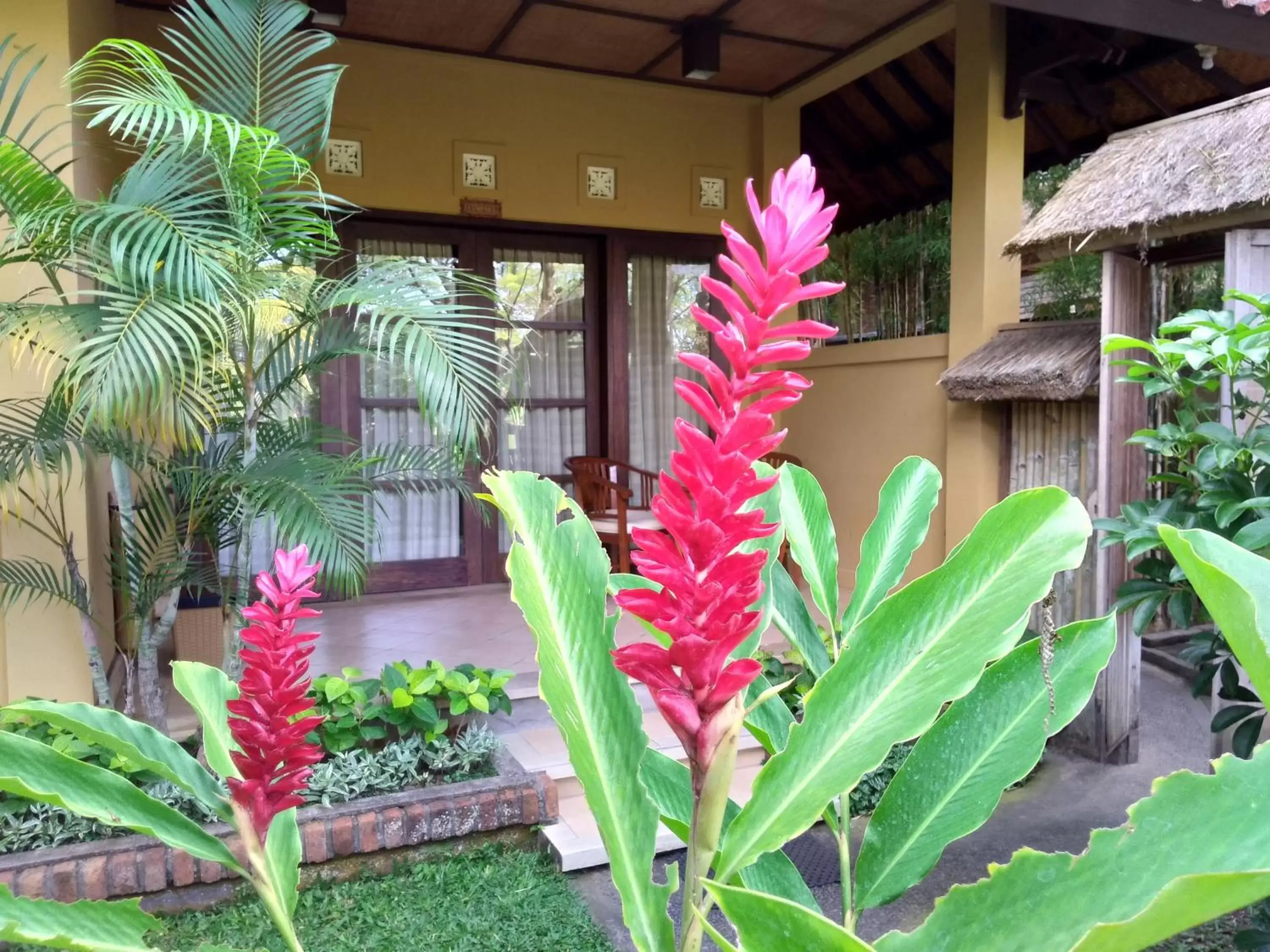 Standard Double or Twin Room in Ubud Lestari Bungalows Standard Double or Twin Room in Ubud Lestari Bungalows