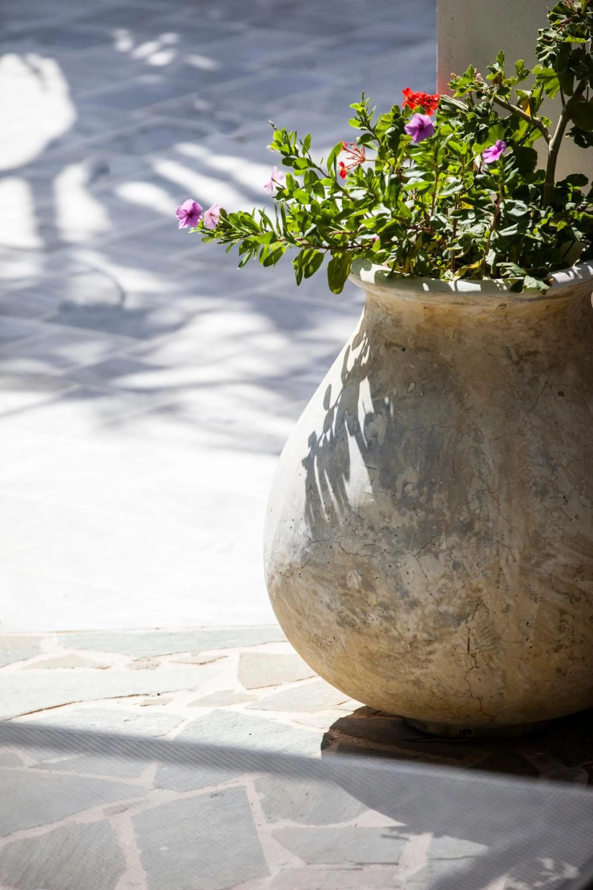 Day in Princess Hotel