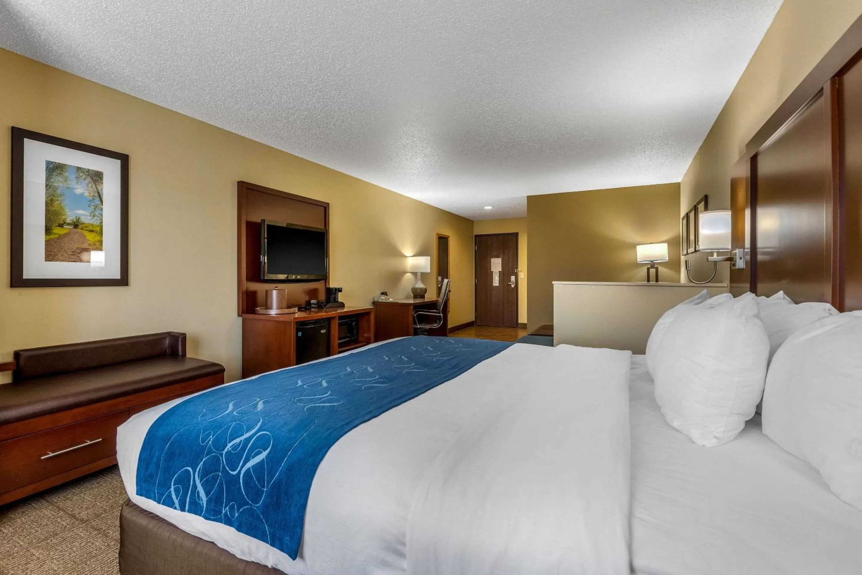 Photo of the whole room, Bed in Comfort Suites Cedar Falls Industrial Park