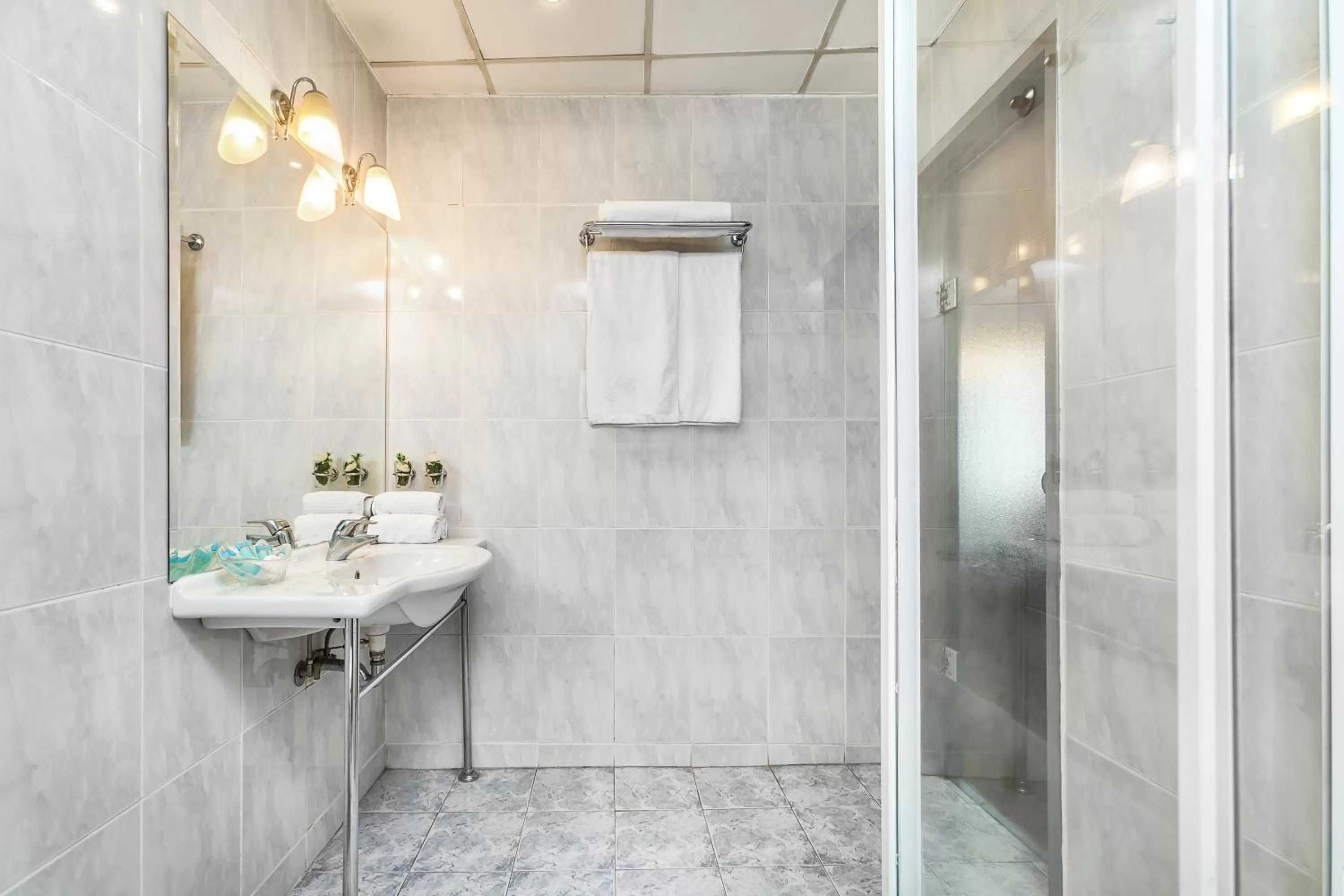 Bathroom in Minerva Premier Hotel